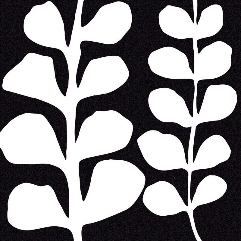 Maidenhair Canvas, Black / White, 110 x 110cm