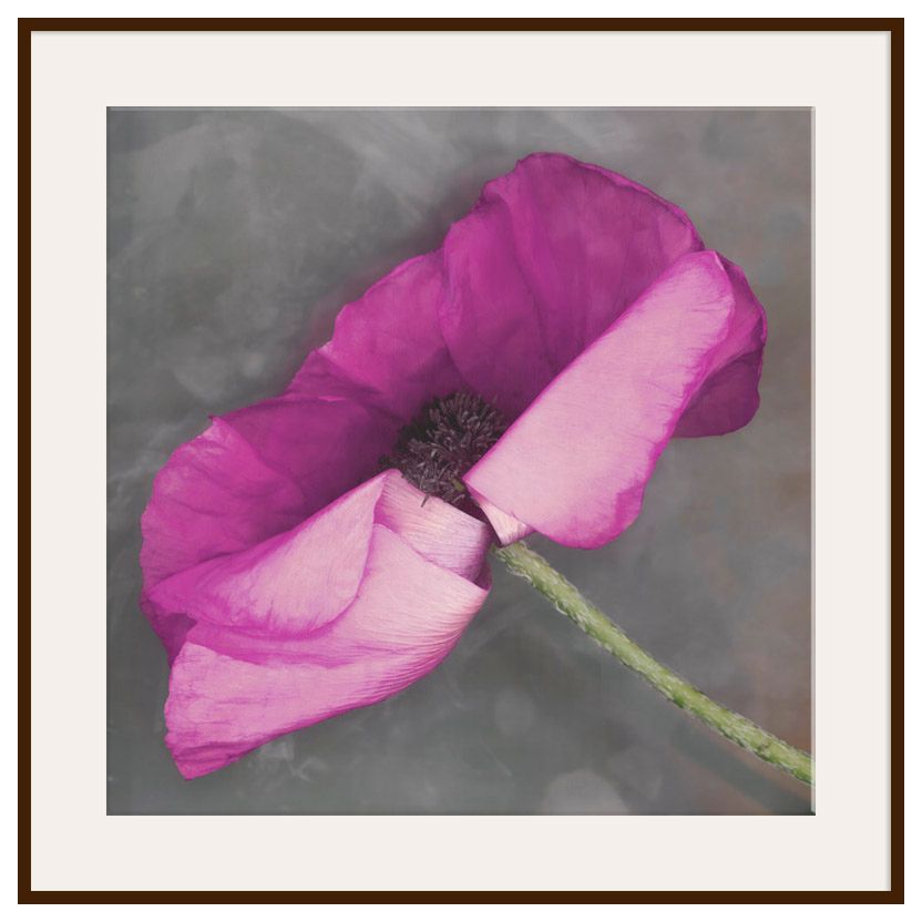 Lila, Dark Frame, 110 x 110cm at John Lewis