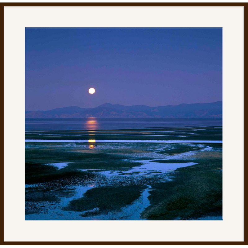 Blue Moon, Dark Frame, 110 x 110cm at John Lewis