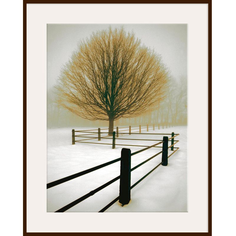 Solitude, Dark Frame, 82 x 110cm at John Lewis