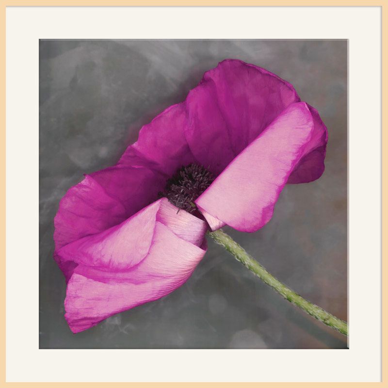 Lila, Light Frame, 110 x 110cm at John Lewis
