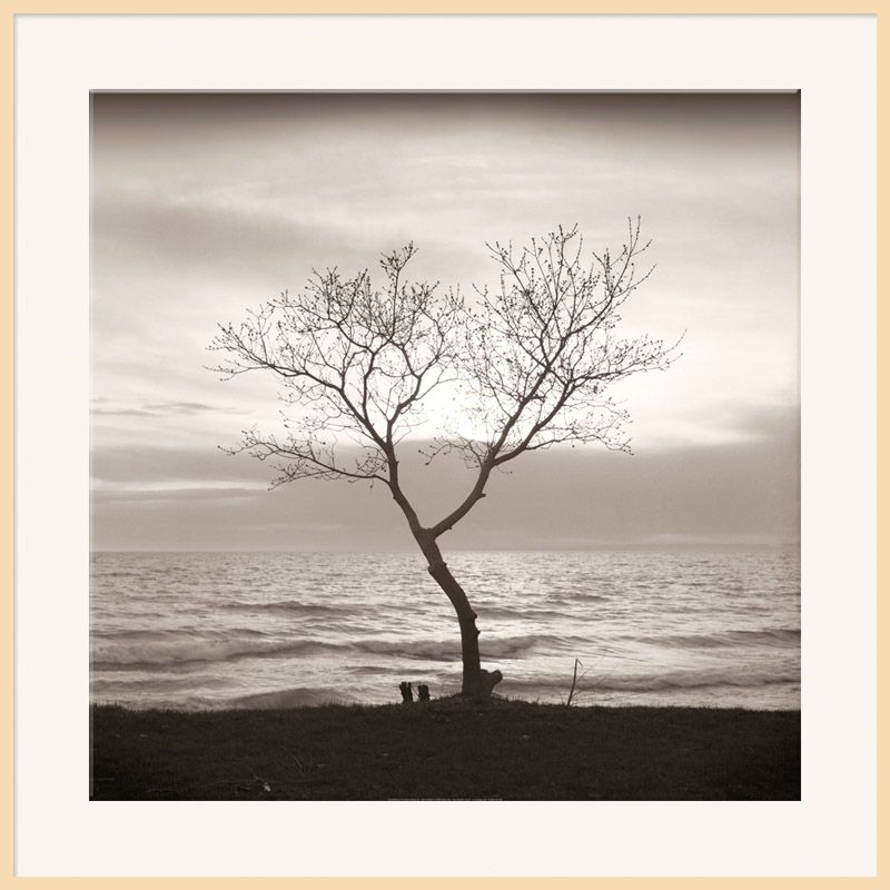 Tree Study 5, Light Frame, 90 x 90cm at JohnLewis