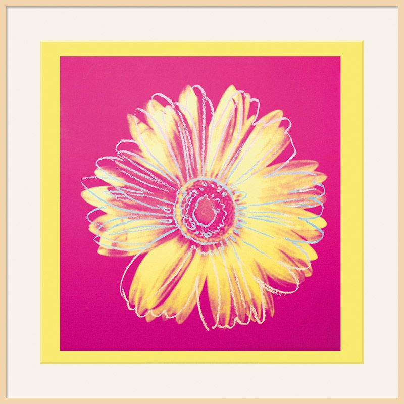 Warhol - Daisy 1982, Yellow on Pink, Light Frame, 110 x 110cm at John Lewis