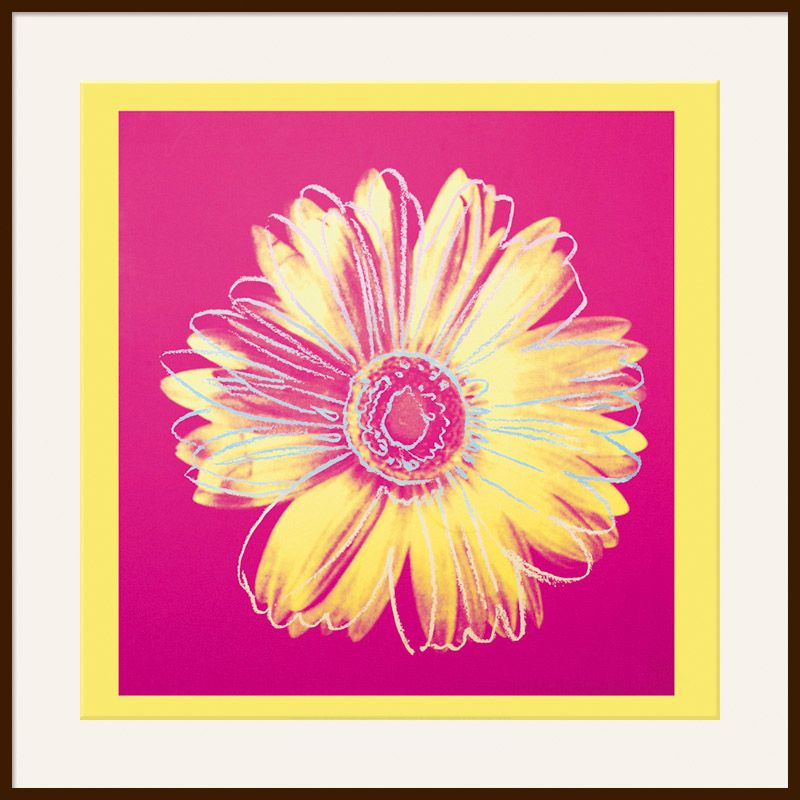 Warhol - Daisy 1982, Yellow on Pink, Dark Frame, 110 x 110cm at John Lewis