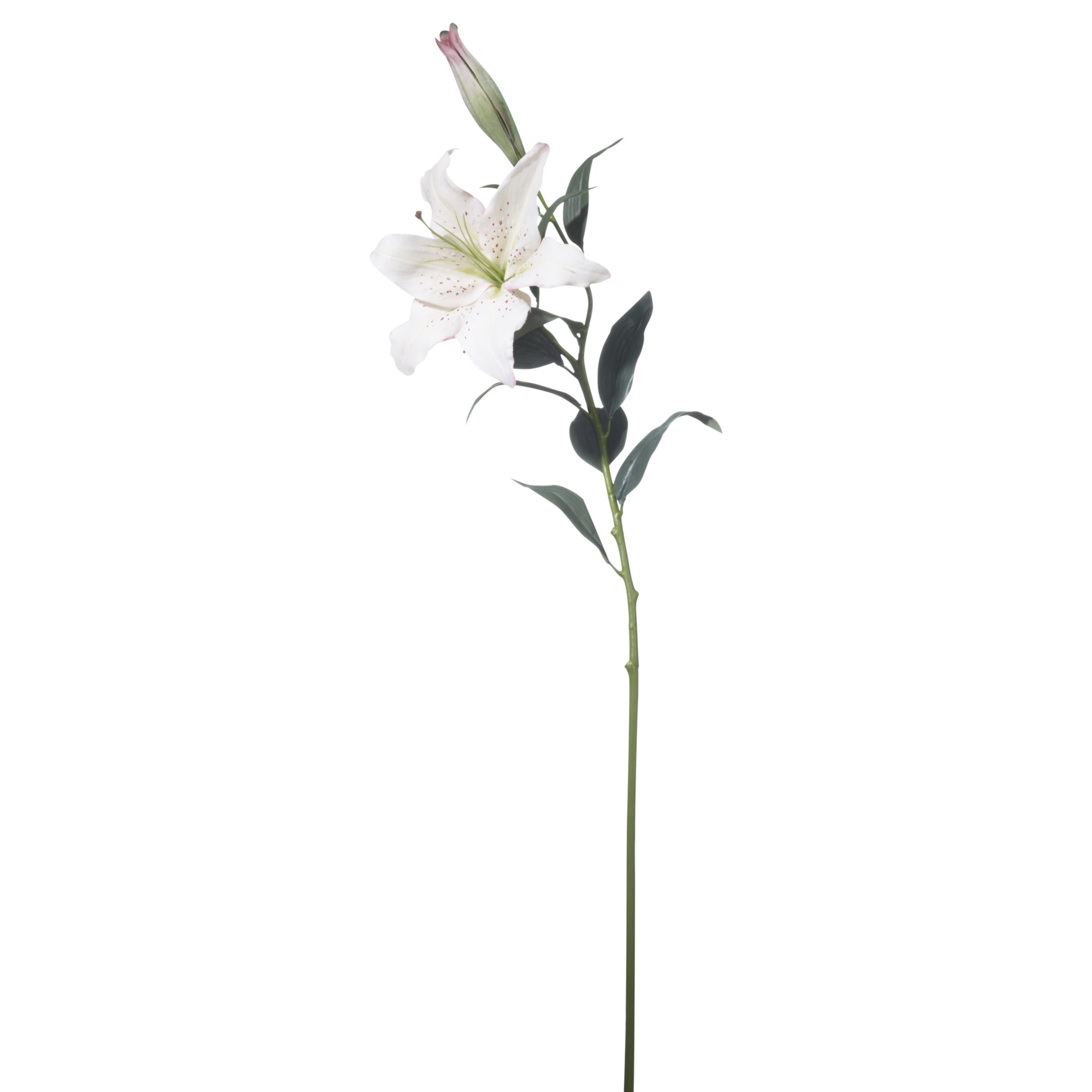 Artificial Plant & Flower Offers