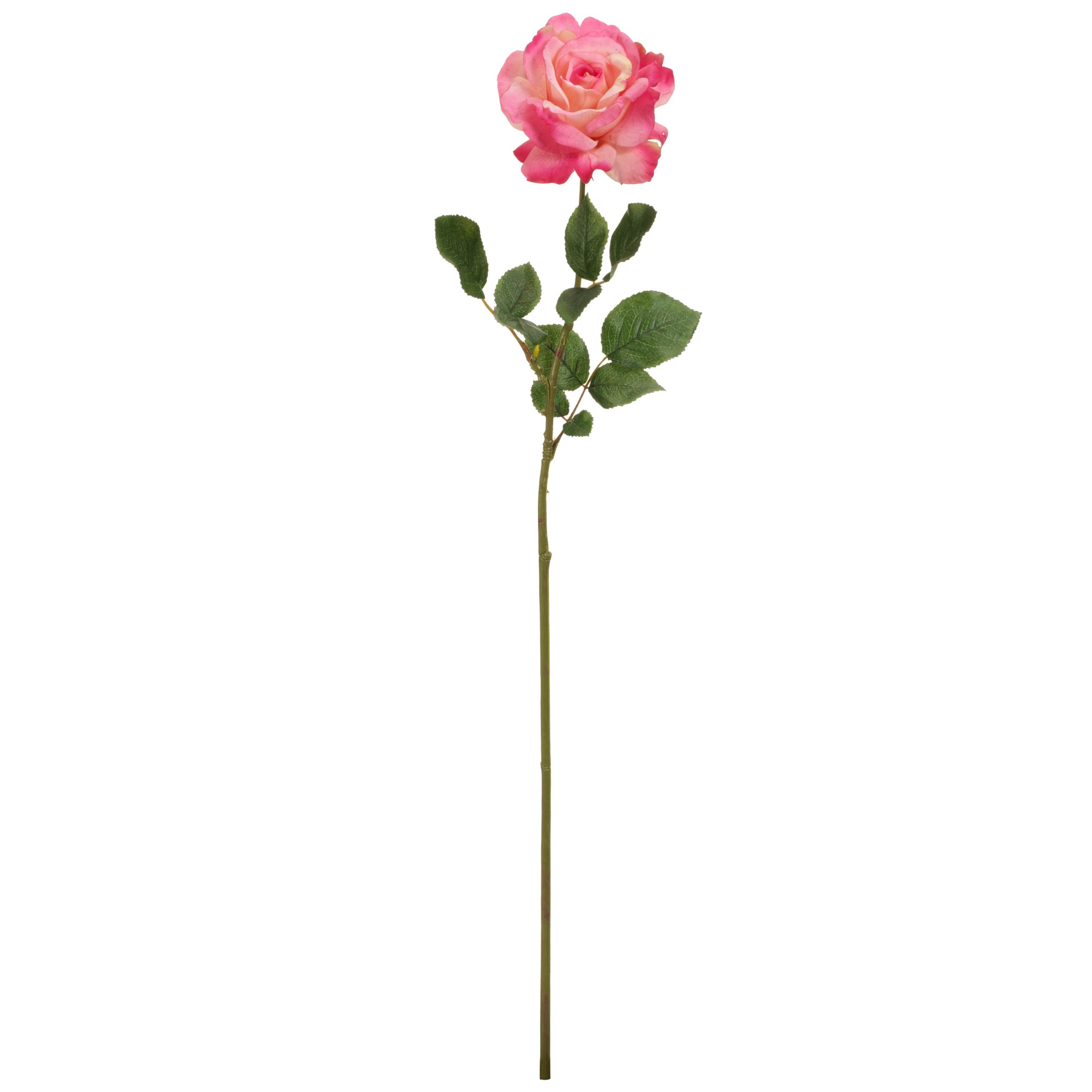 Pink Rose Flower Arrangements. Product · John