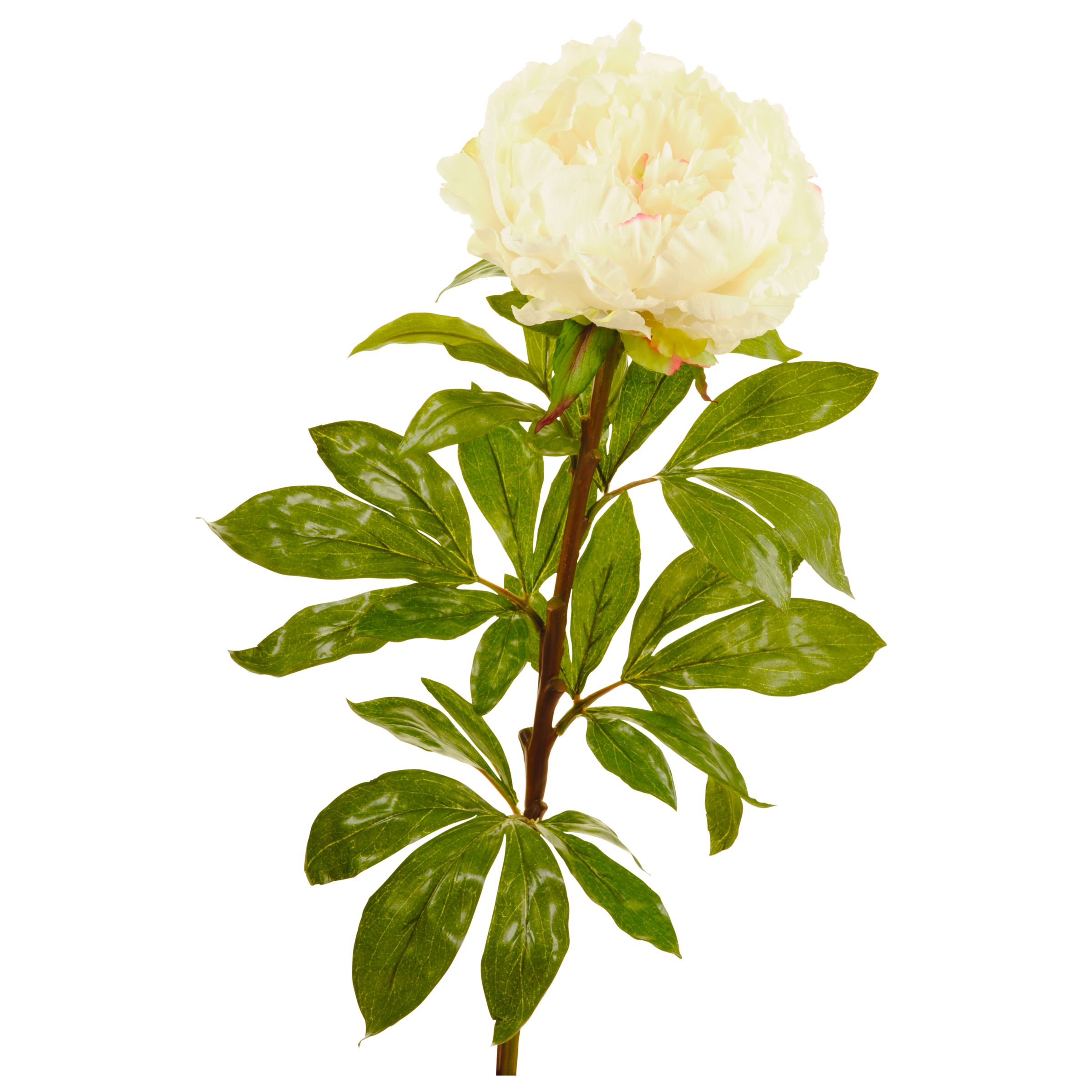 Artificial Plant & Flower Offers