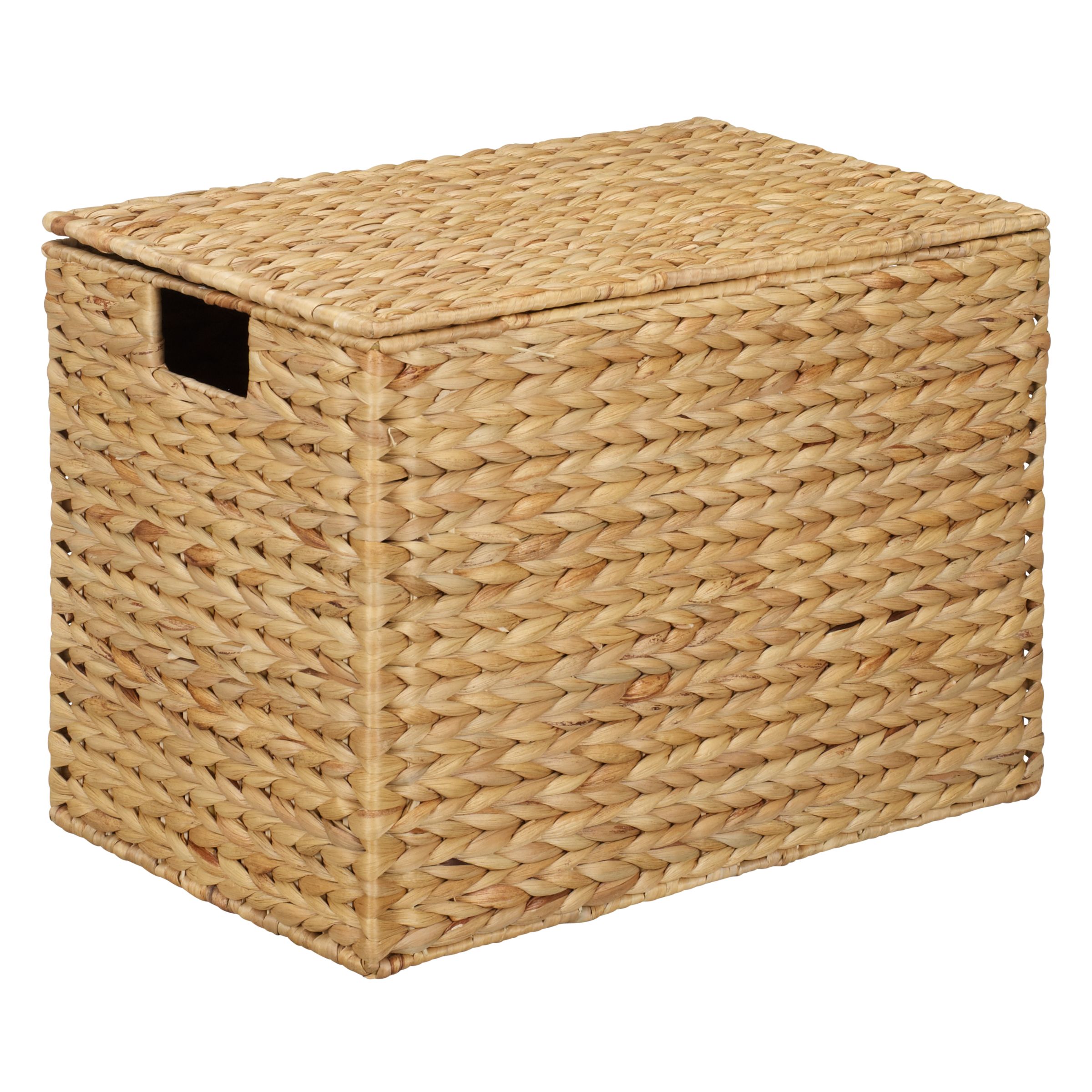 Storage Trunks