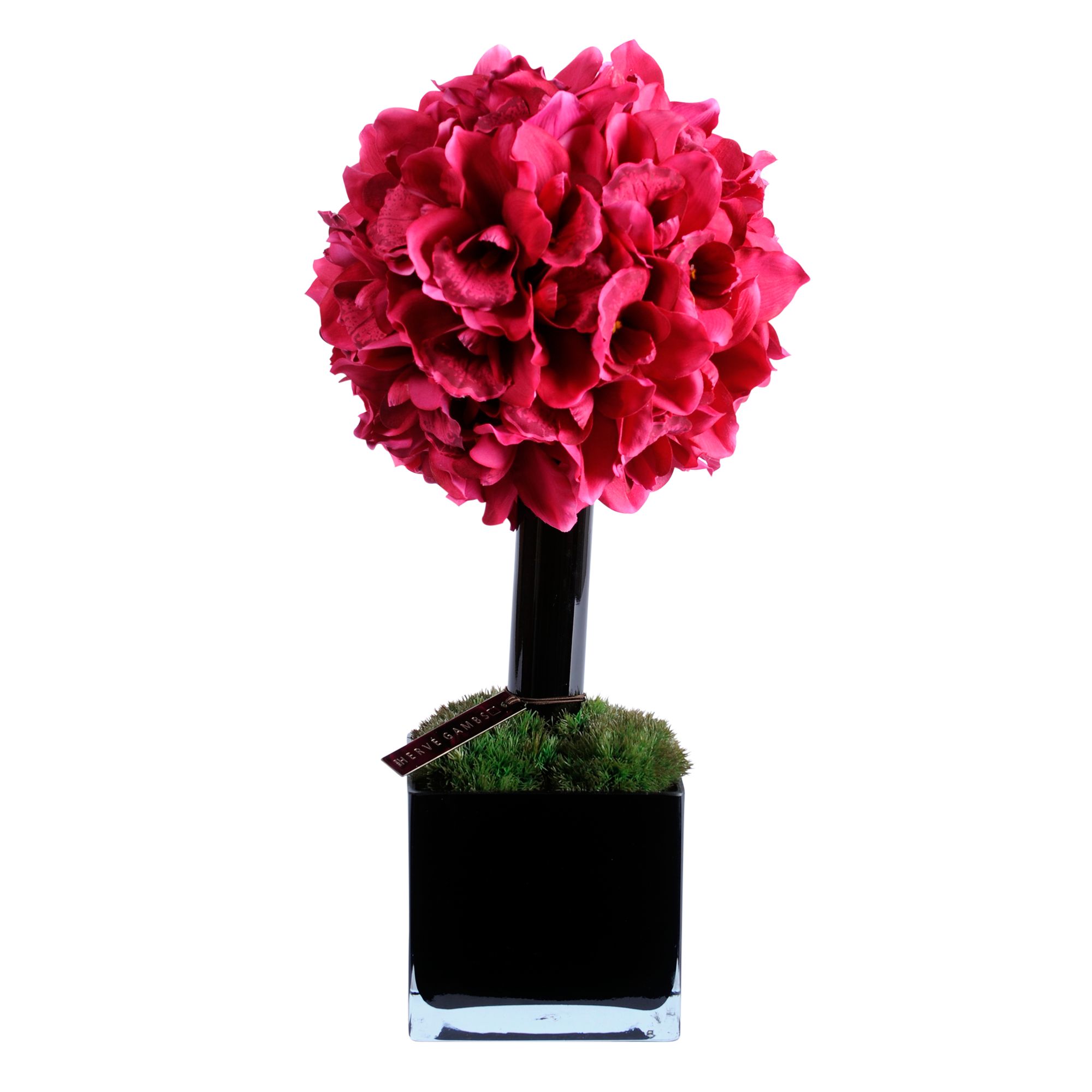 Herv&eacute; Gambs Orchid Flower Topiary in a Glass Cube, Fuchsia, Medium at JohnLewis