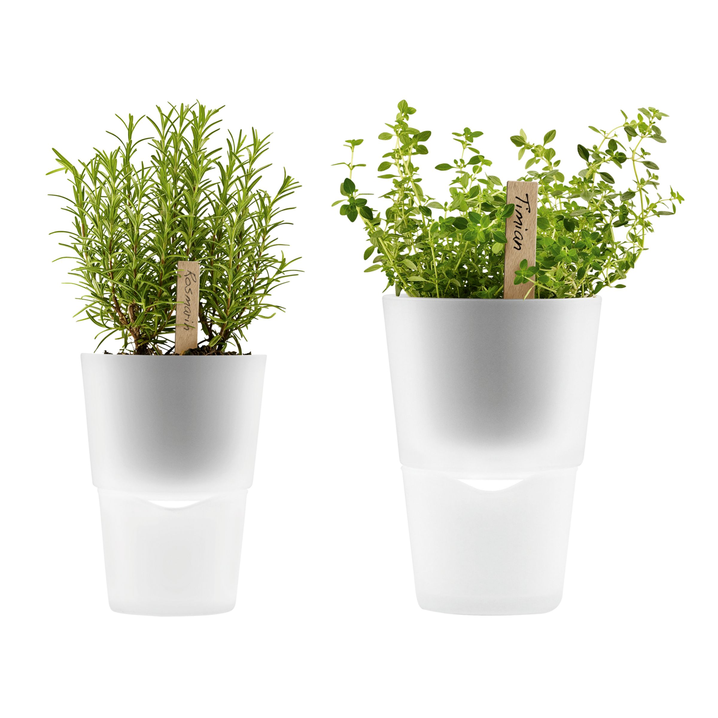 Buy Eva Solo Self Watering Herb Pots online at JohnLewis.com - John ...