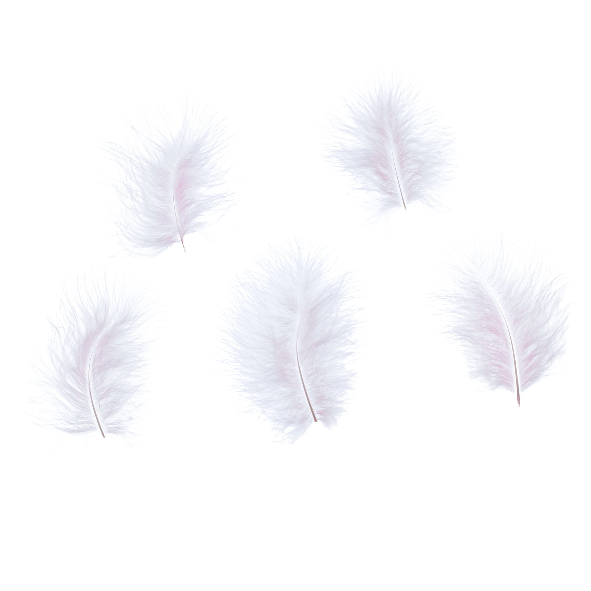 John Lewis Marabou Feathers, Pack of 5, Pink