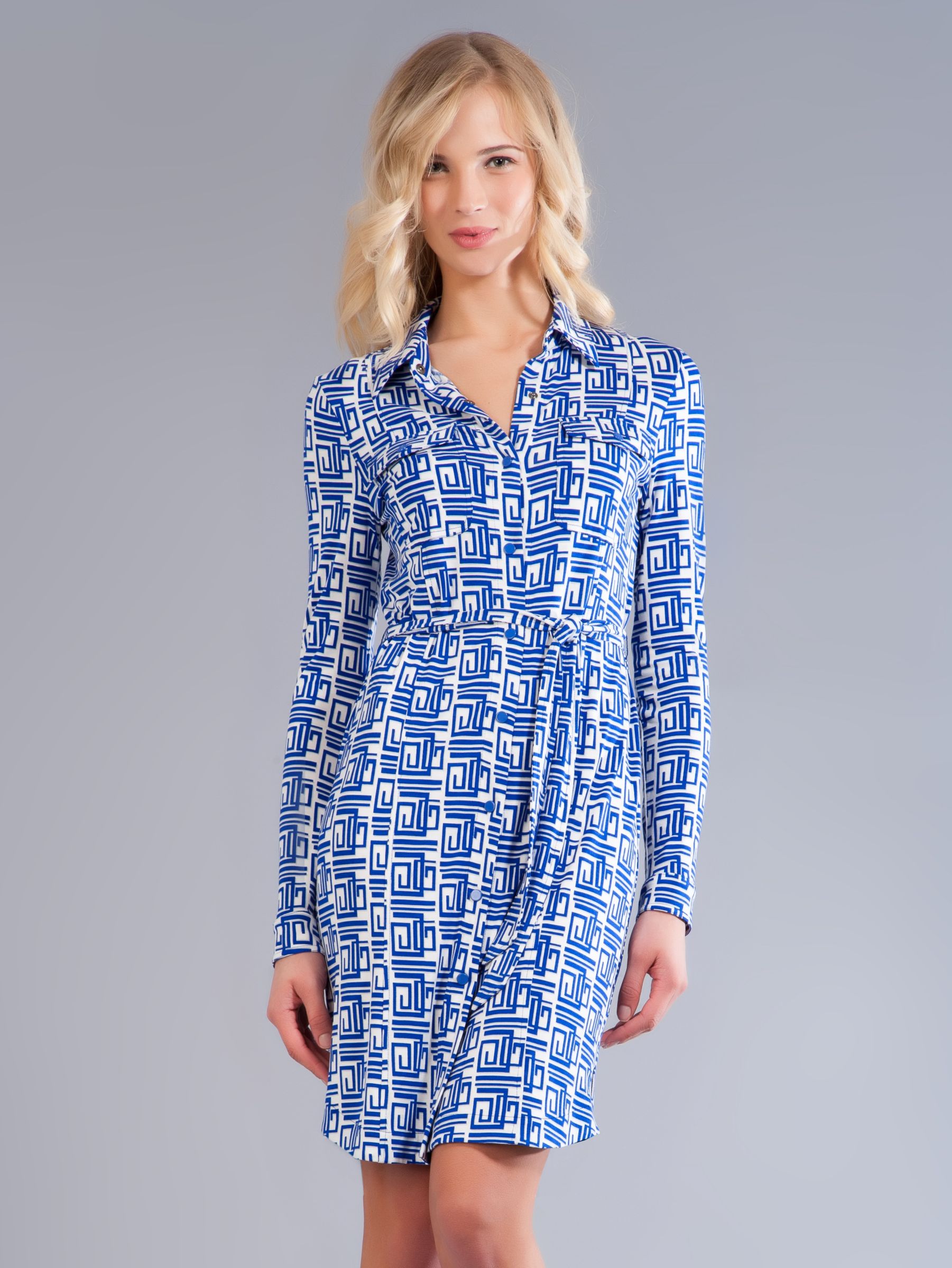 Damsel in a Dress Gianni Shirt Dress, Blue