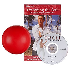 Gaiam T39ai Chi Starter Kit and DVD