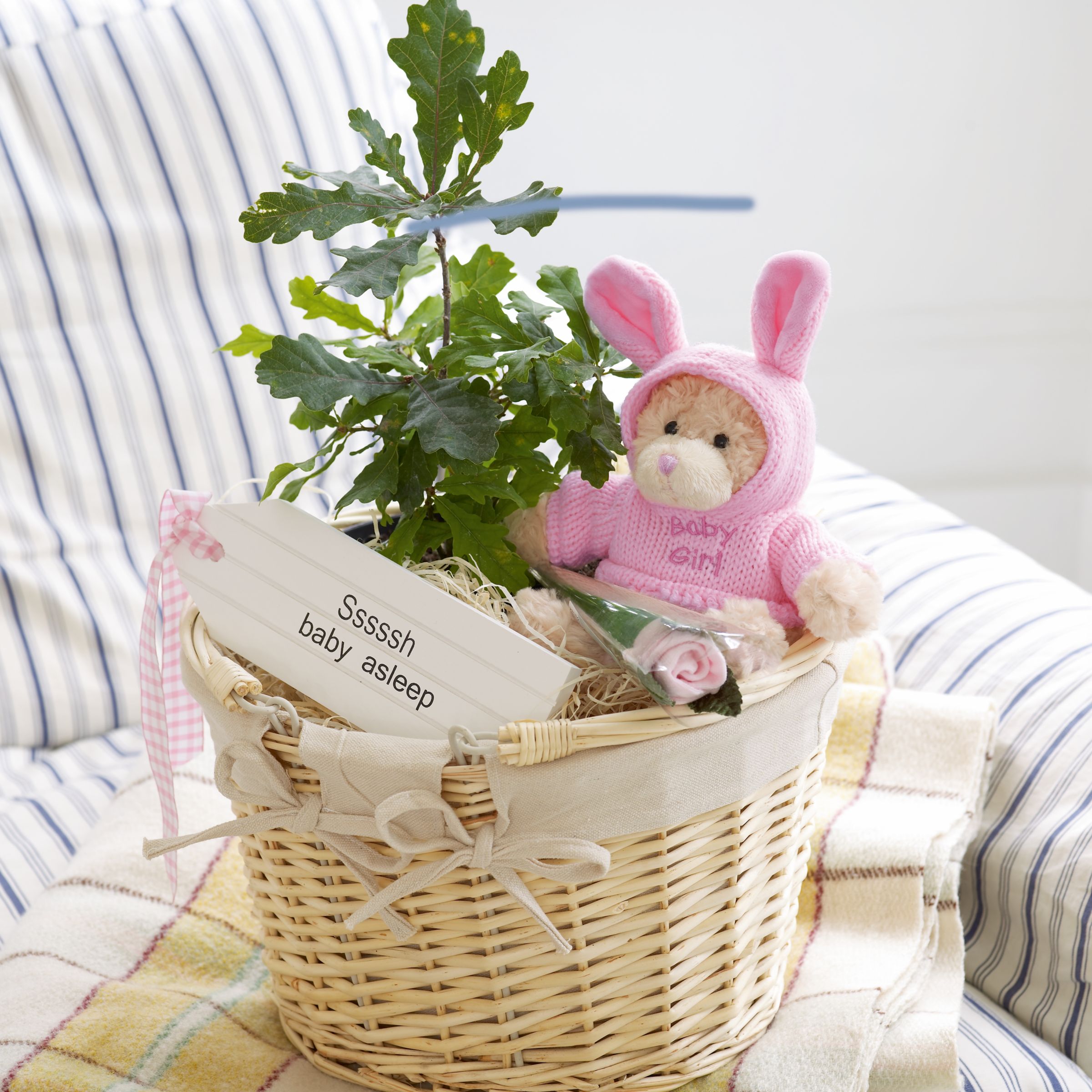 john lewis Plants - Family Tree, Pink