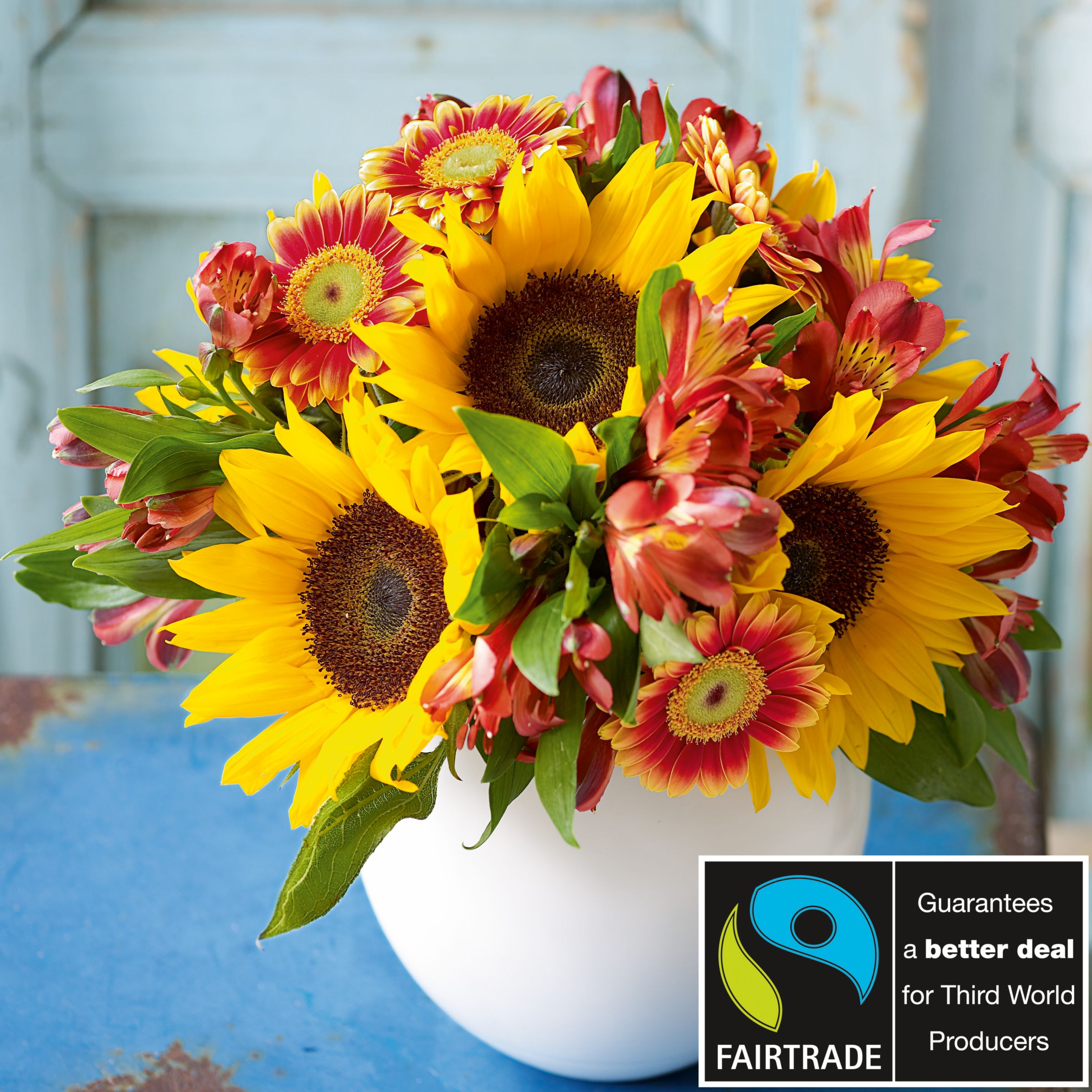 John Lewis Flowers  Fairtrade Sunflower Sphere Arrangement