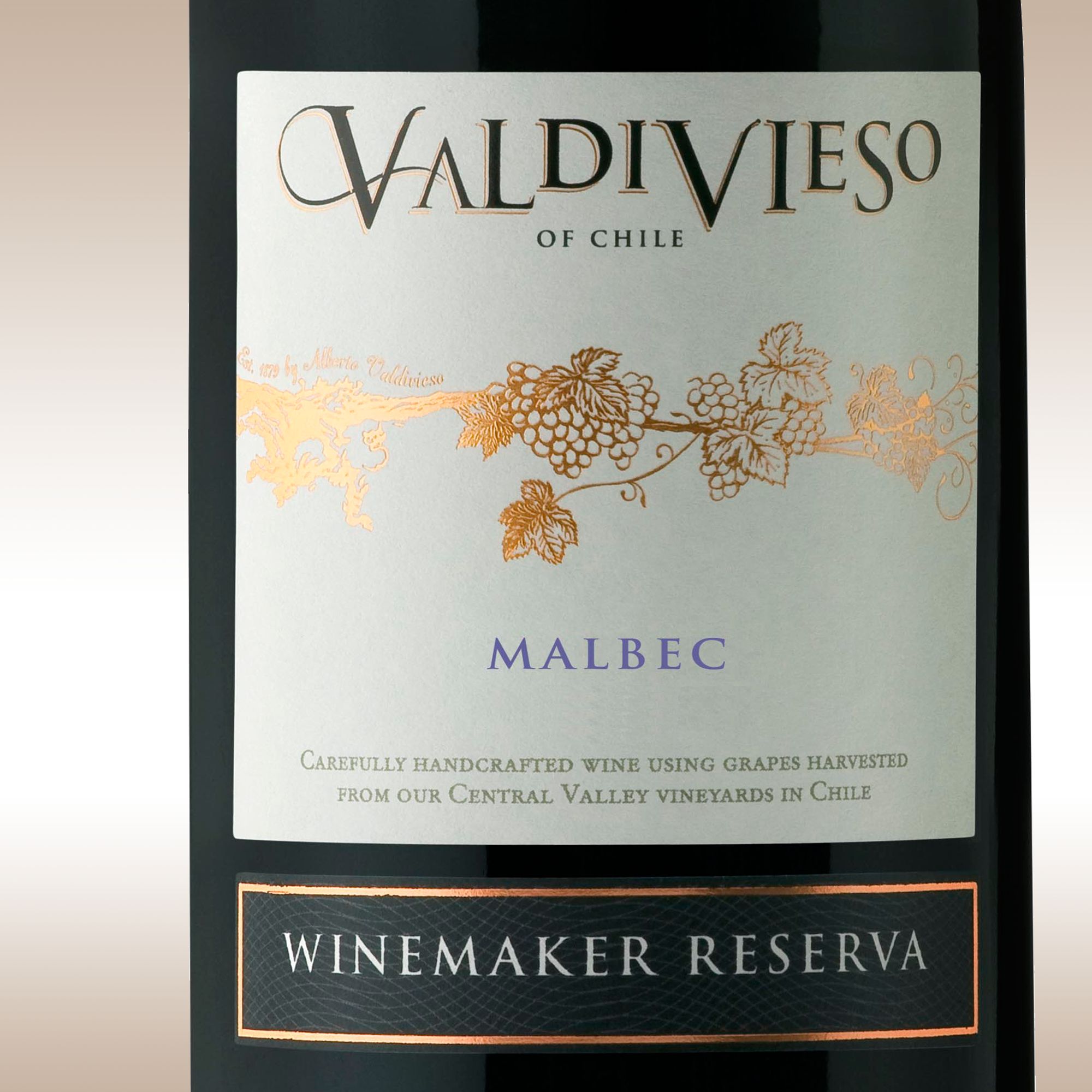 Valdivieso Malbec 2008 Central Valley, Chile