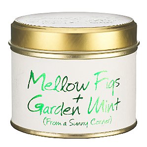 Candle in a Tin, Mellow Fig and Garden Mint