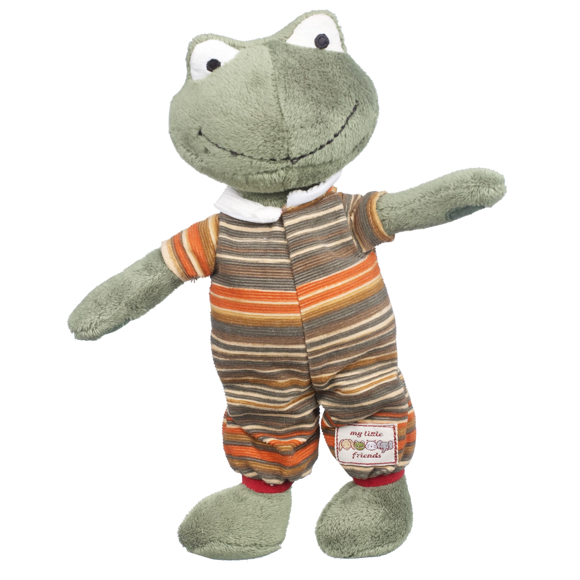 Little Friend Frog