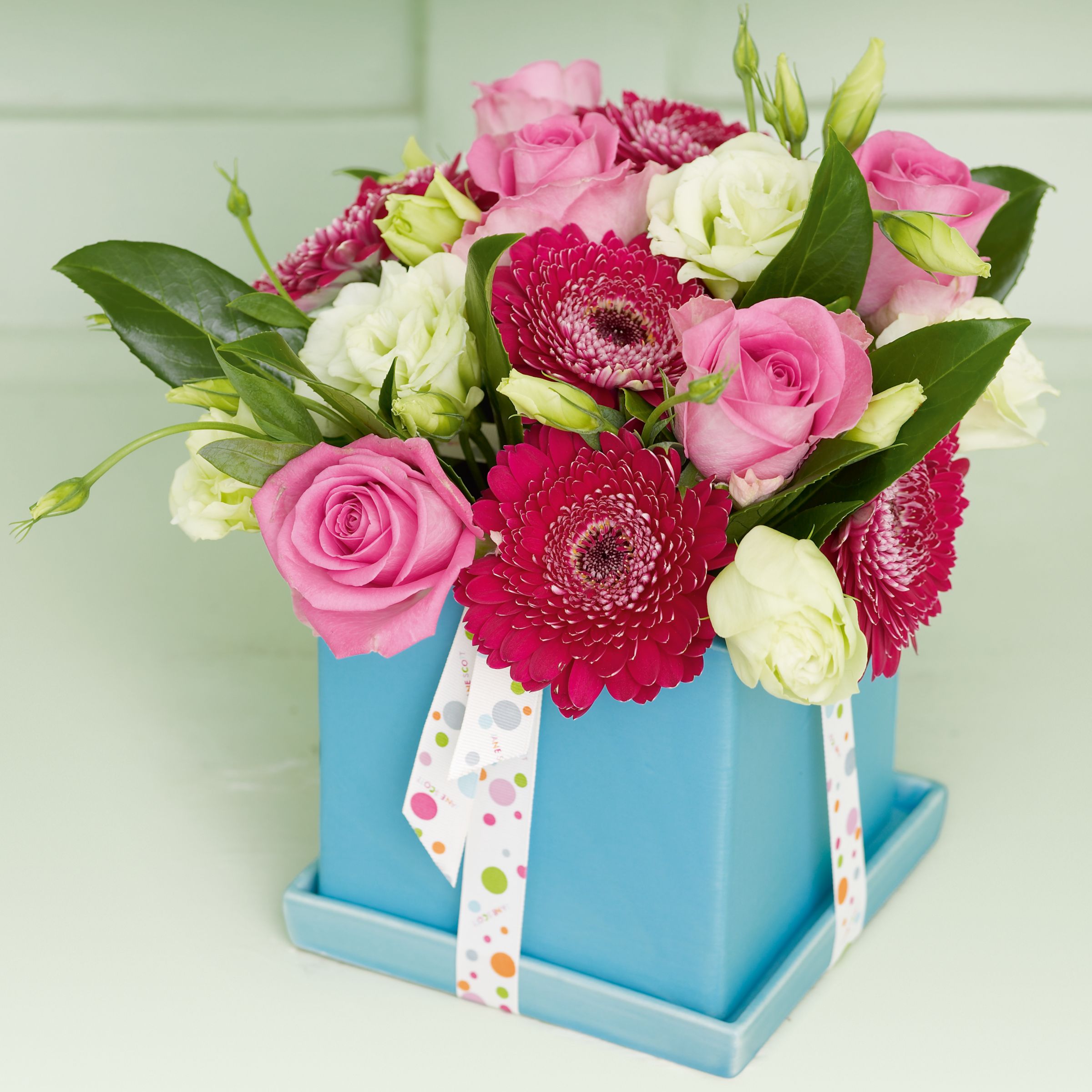 Jane Scott Flowers  Spring Flower Cube