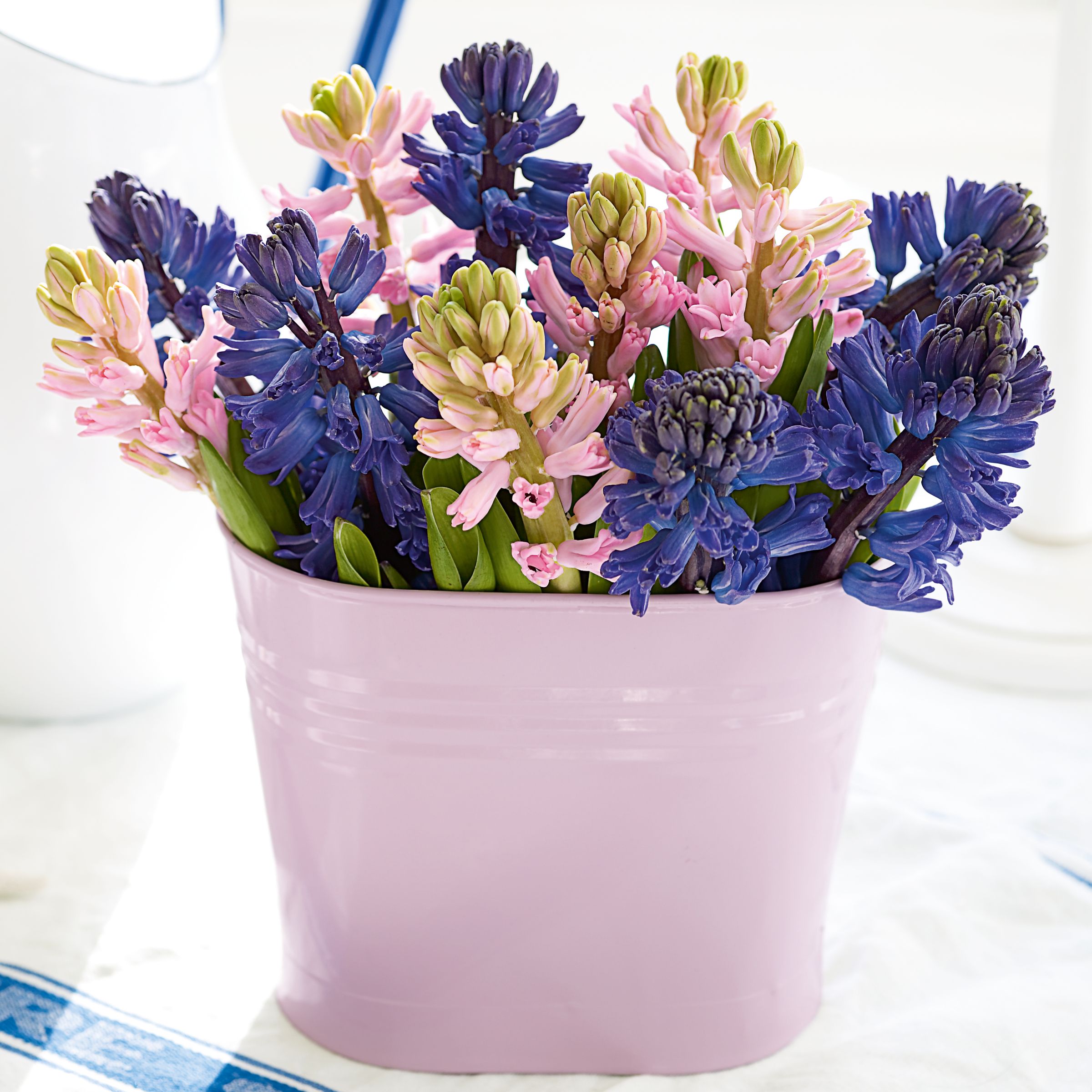 John Lewis Flowers  Heady Hyacinth Arrangement