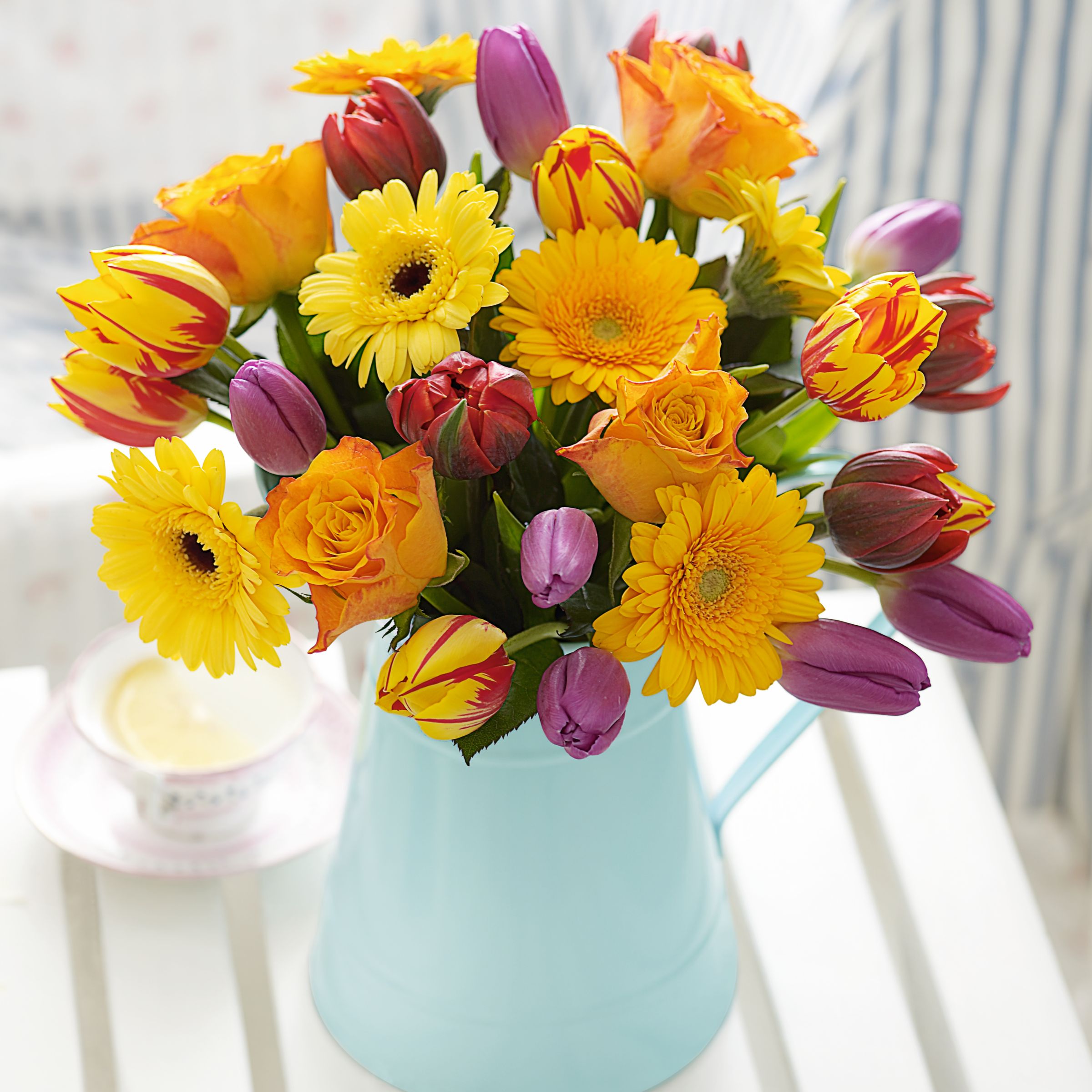 John Lewis Flowers  Tulip Fever Arrangement