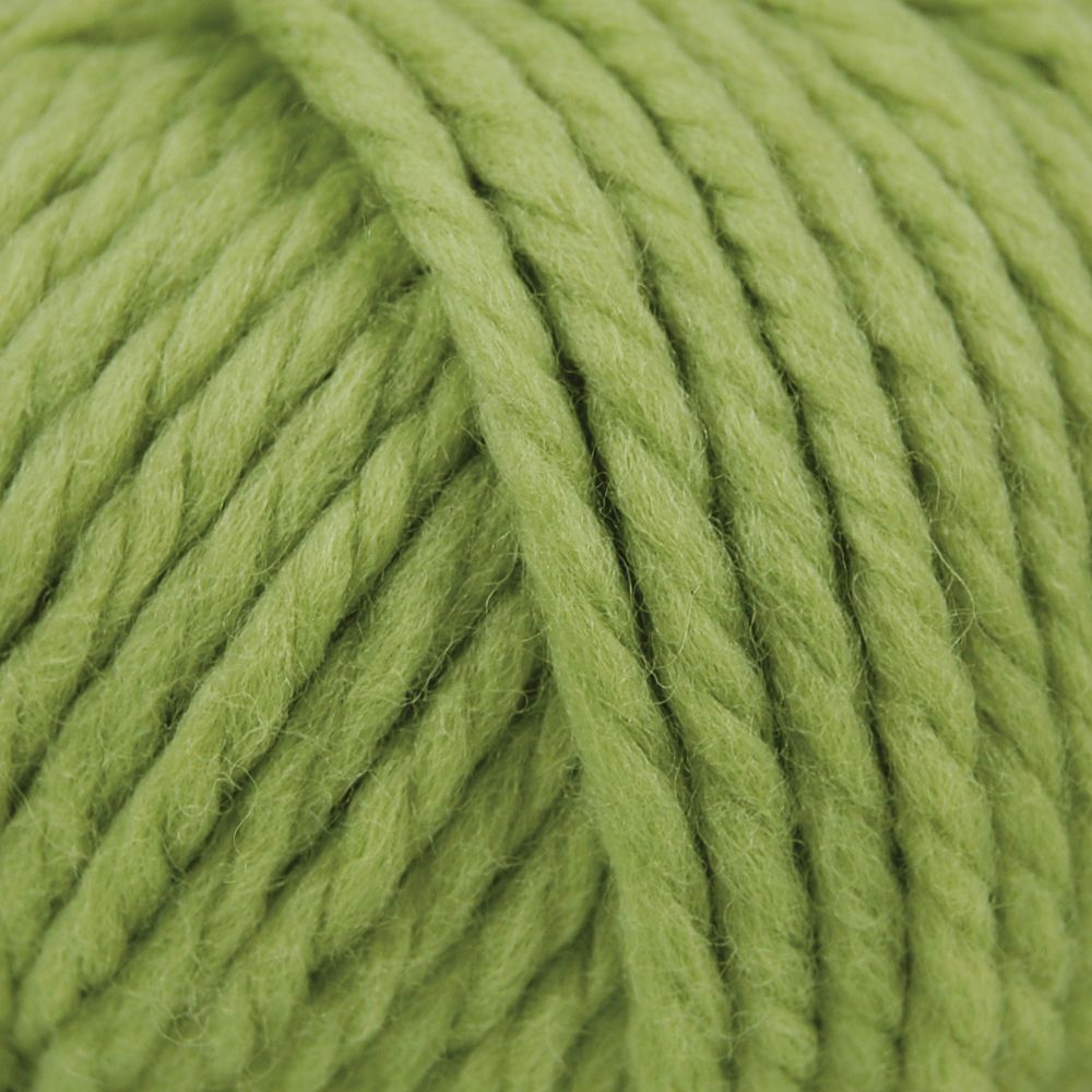 Rowan Yarns Big Wool, Zing, Shade 037