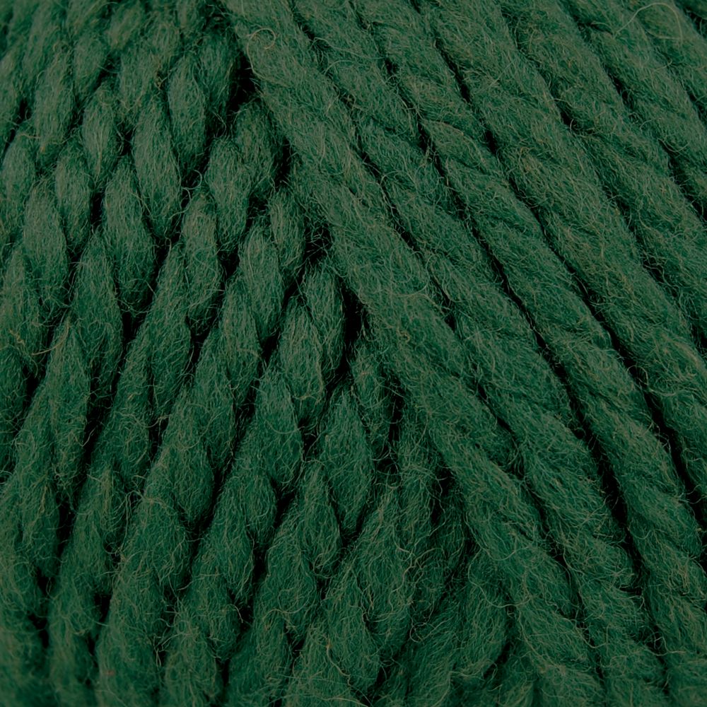 Rowan Yarns Big Wool, Forest, Shade 043