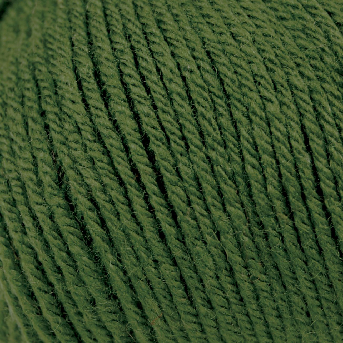 Rowan Yarns Cashsoft 4 Ply, Forest, Shade 442
