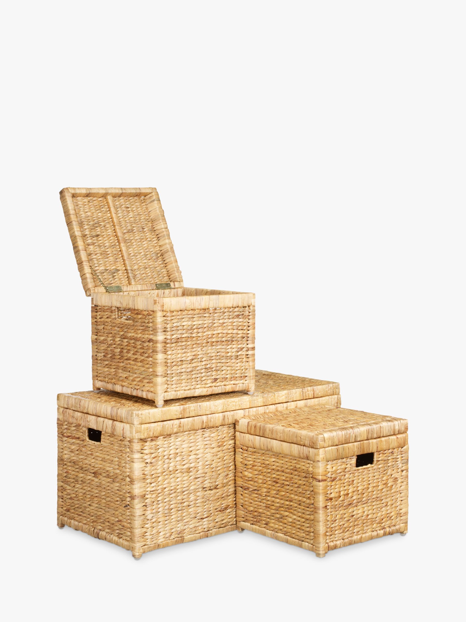 Water Hyacinth Trunks, Set of 3
