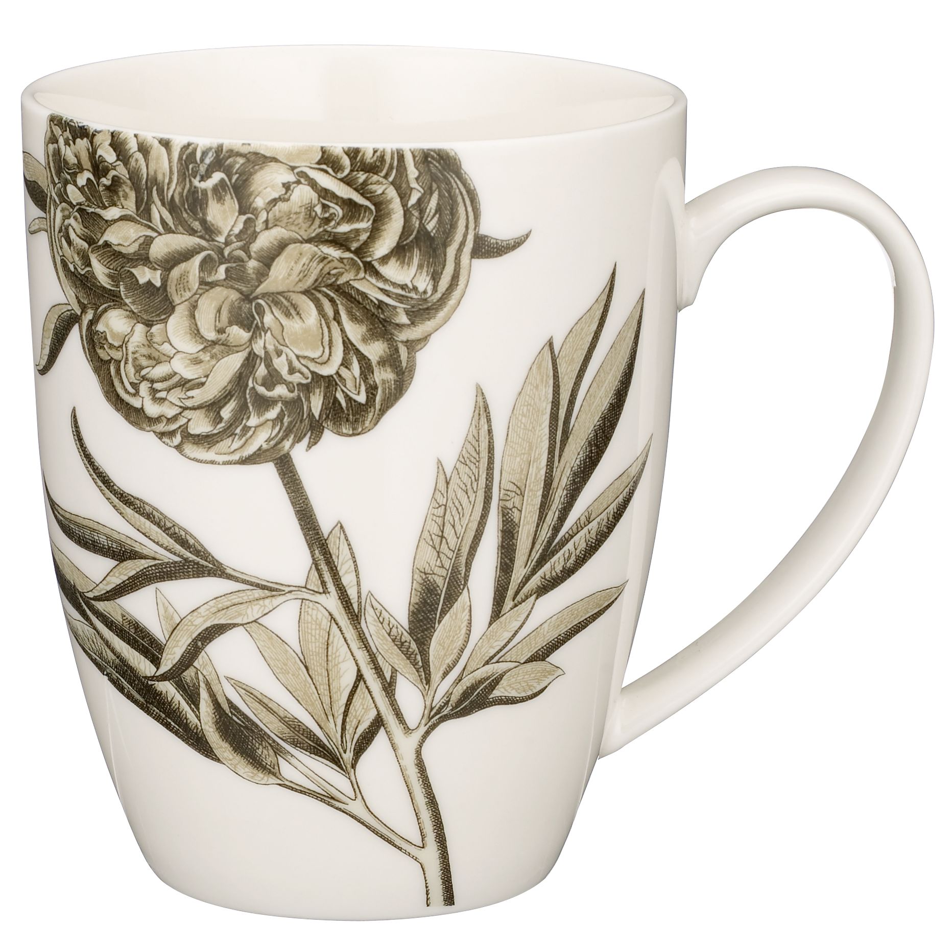 Queens Sanderson Etchings & Roses Mugs, Box of 4