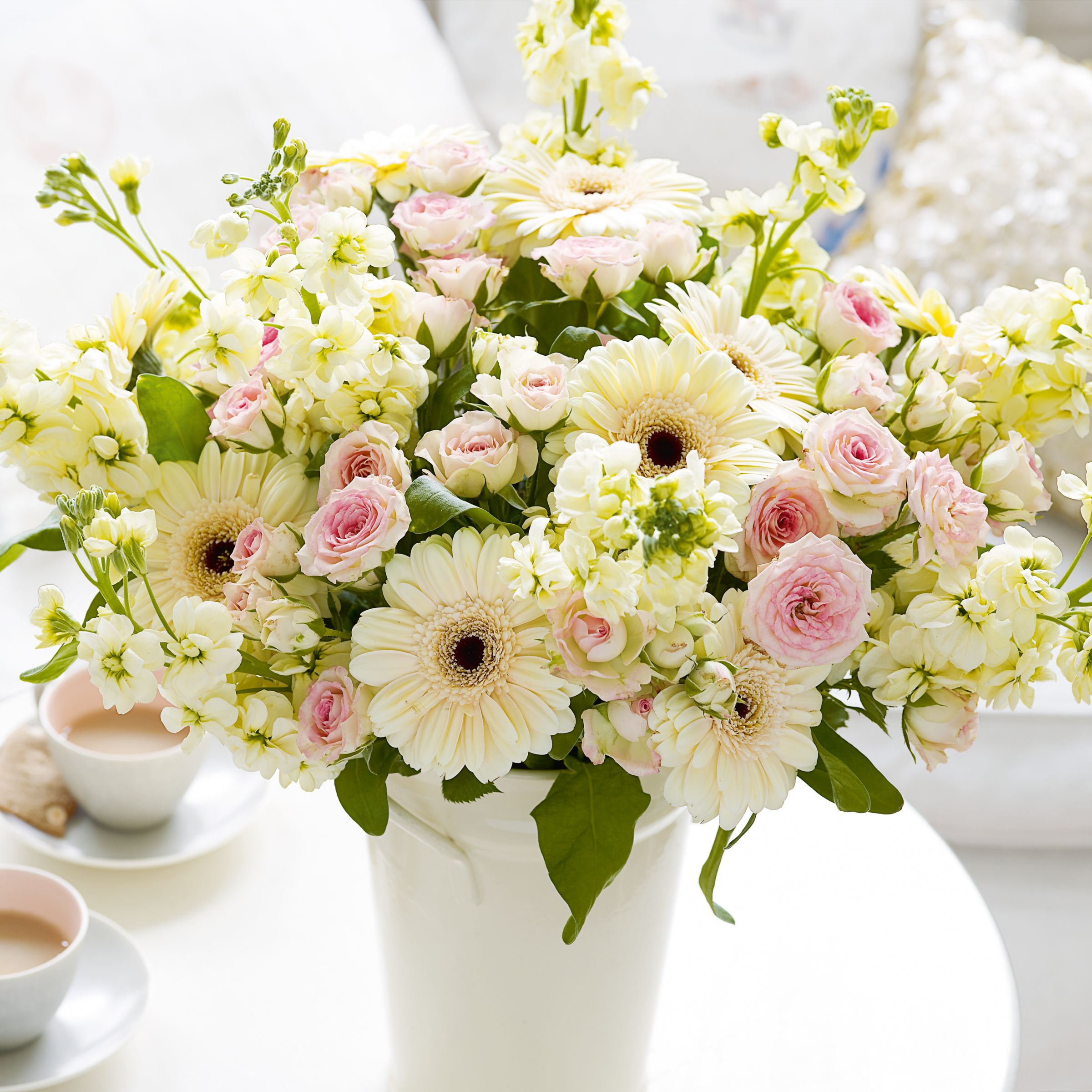 John Lewis Flowers - Super Summer Sense