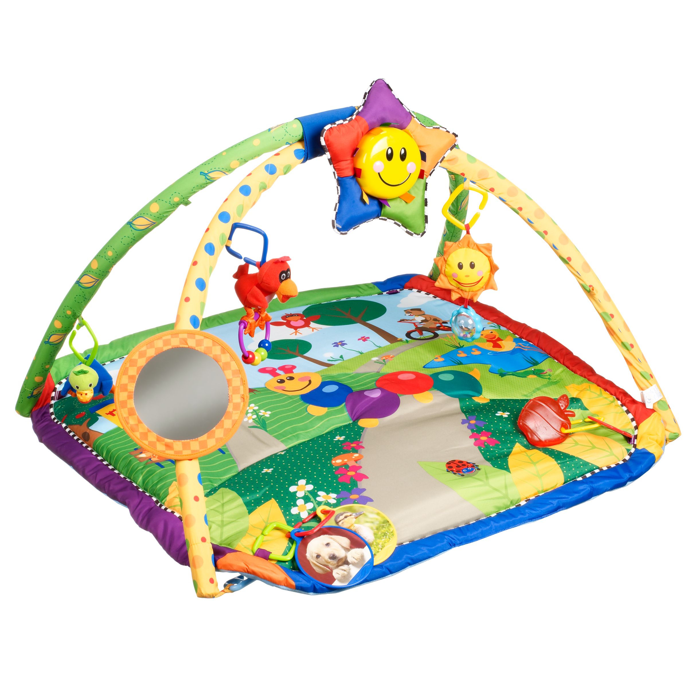 Baby Einstein Discover and Play Activity Gym