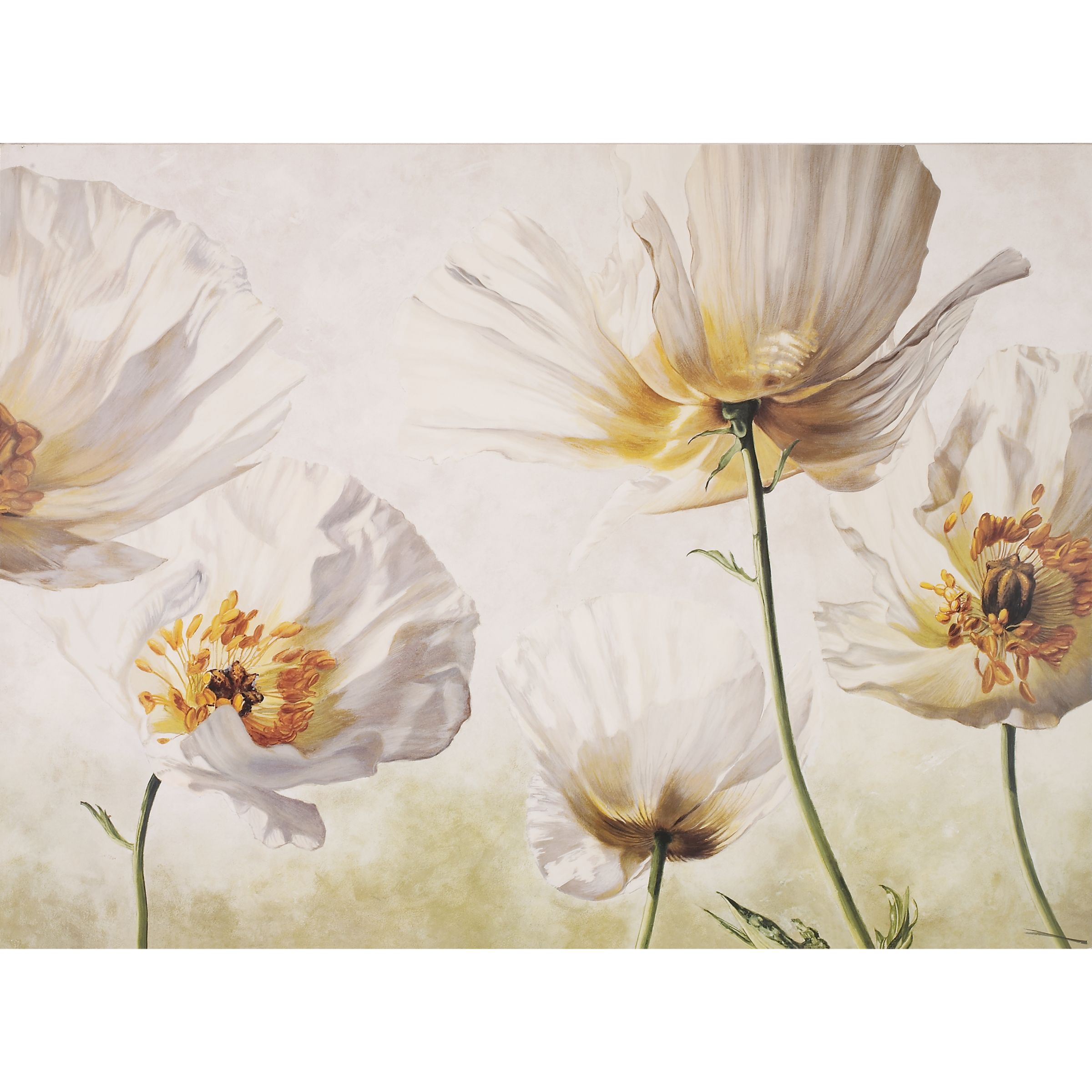 Raggi De SolePrint 85x115cm