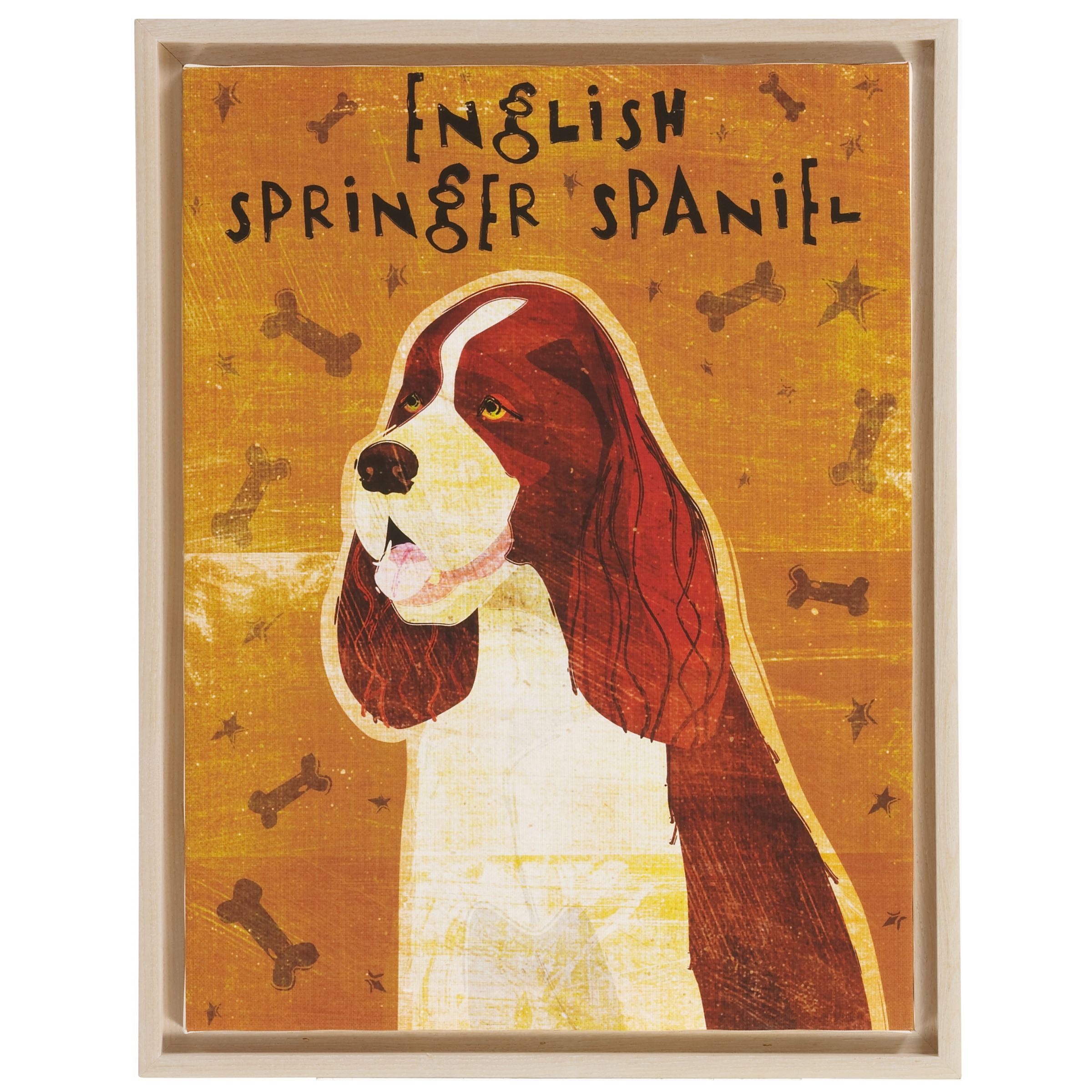 English Springer Terrier Print 40x30cm