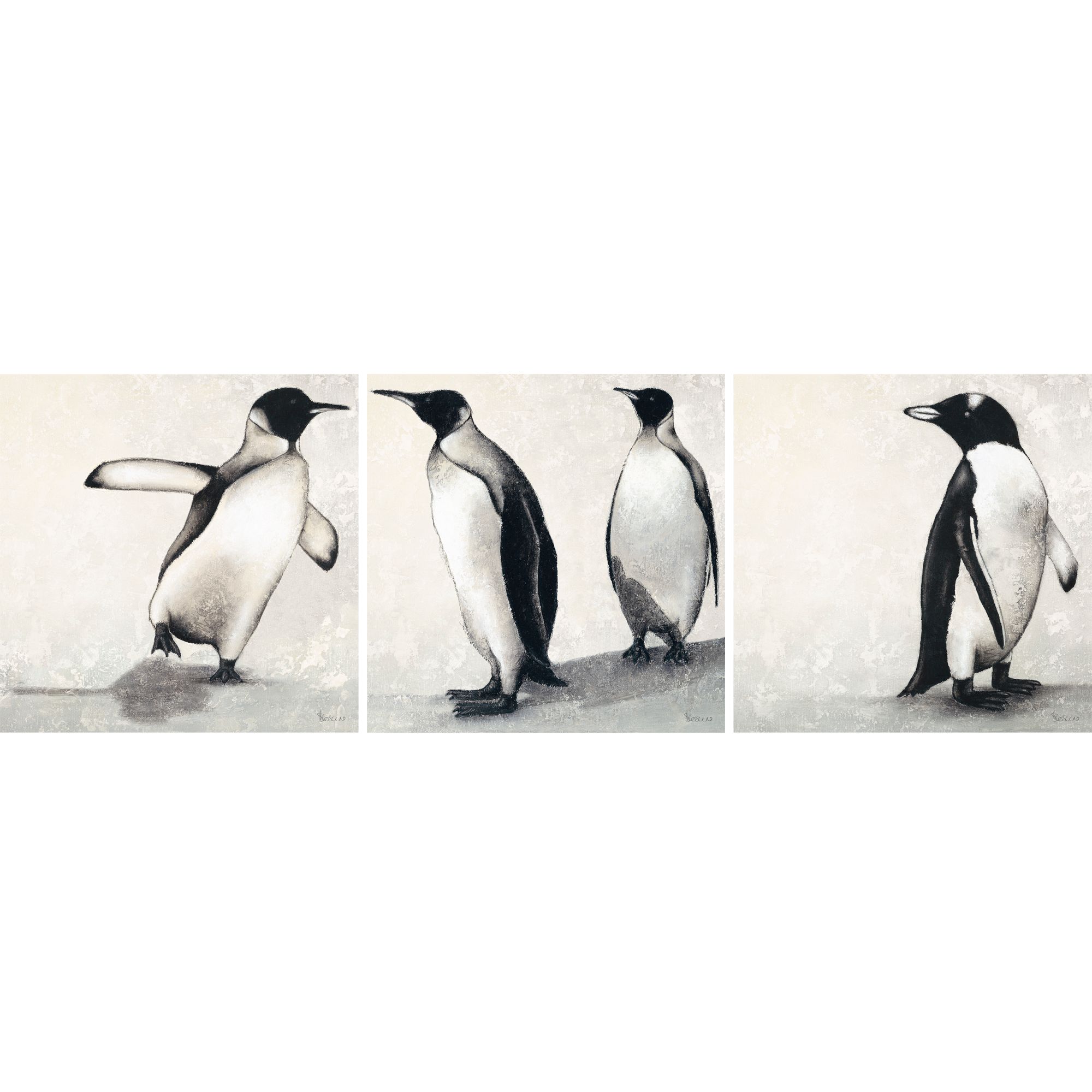 Penguins Print Set of 3 20x20