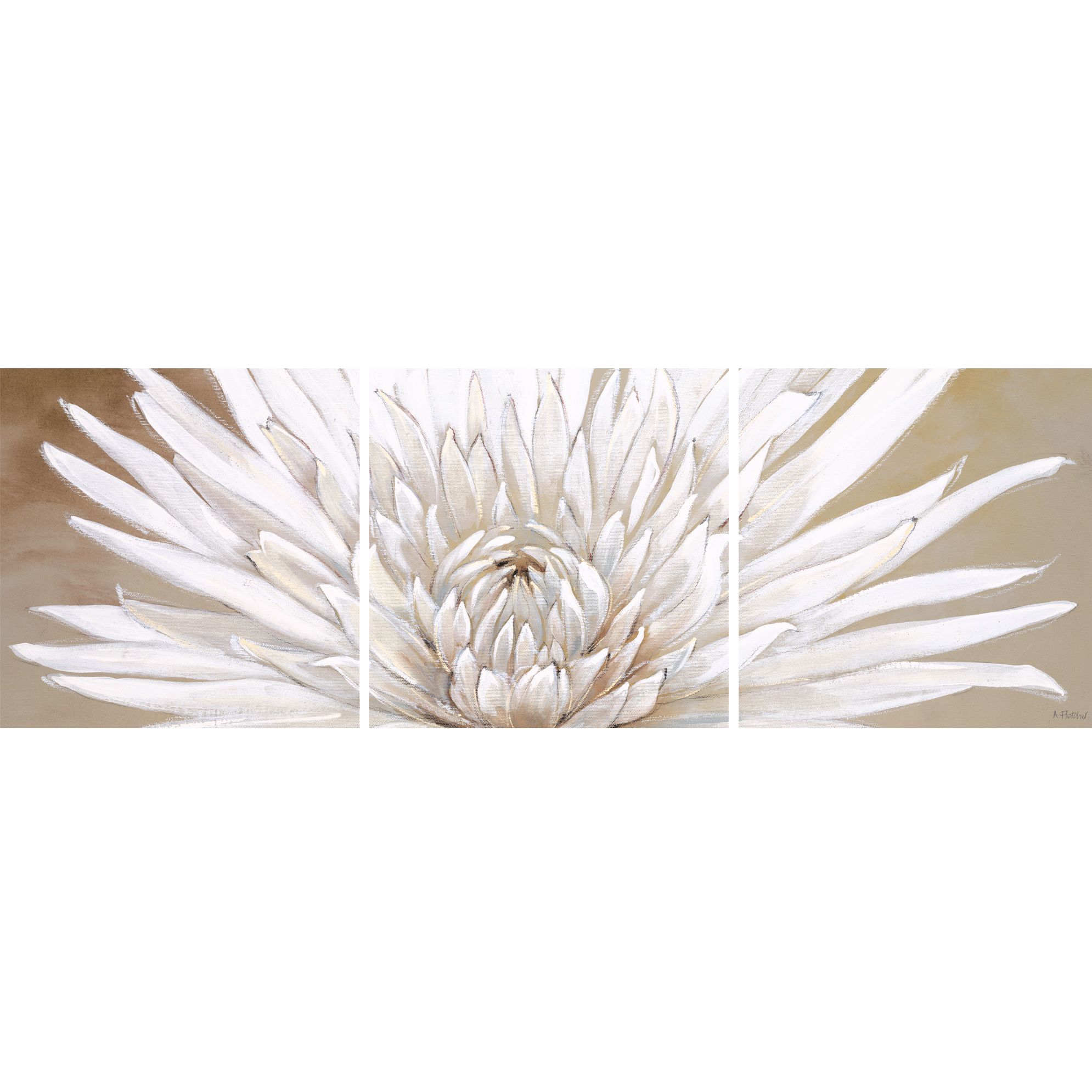 Floral Glory Triptych 3x 20x20cm