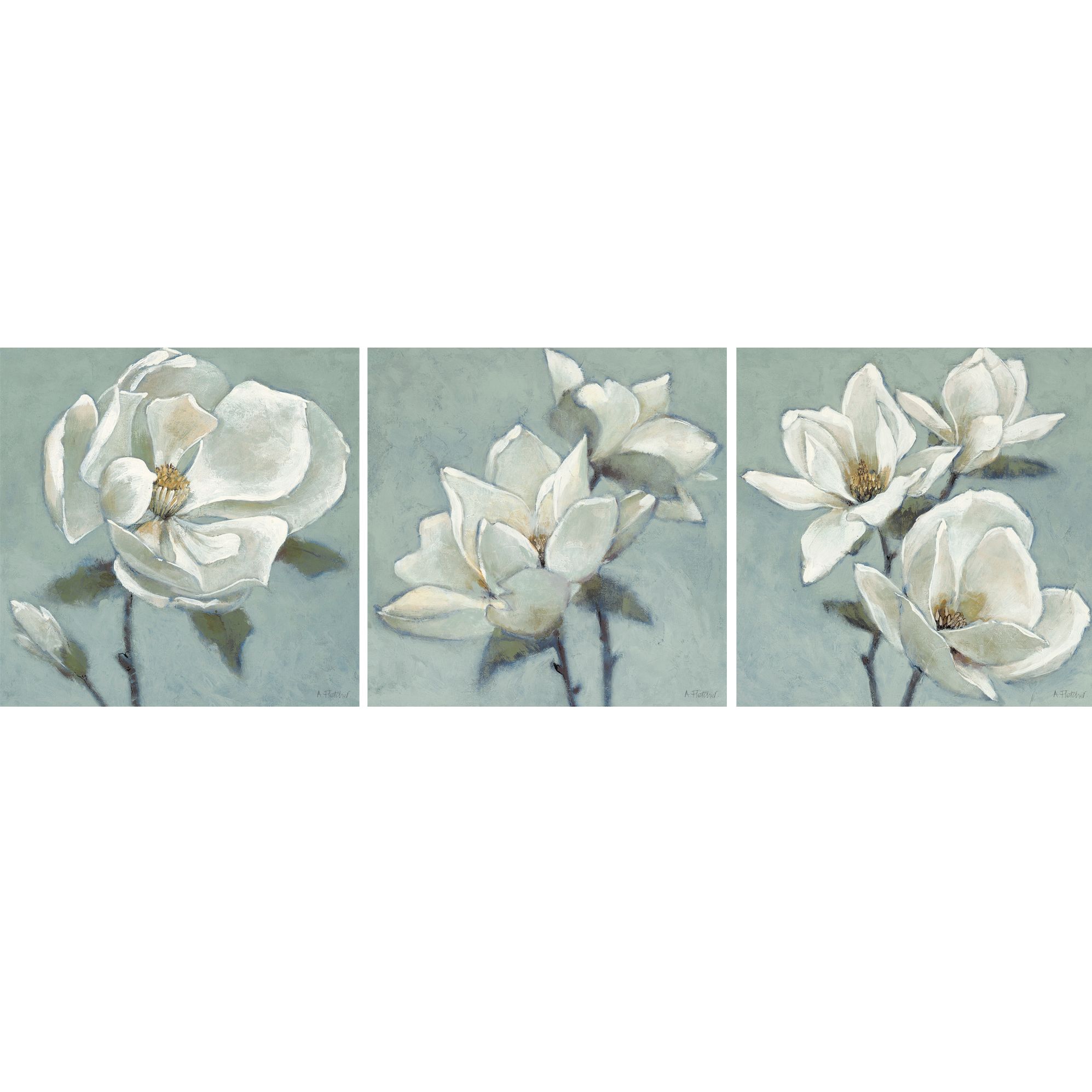 Magnolias Prints 3x 20x20cm