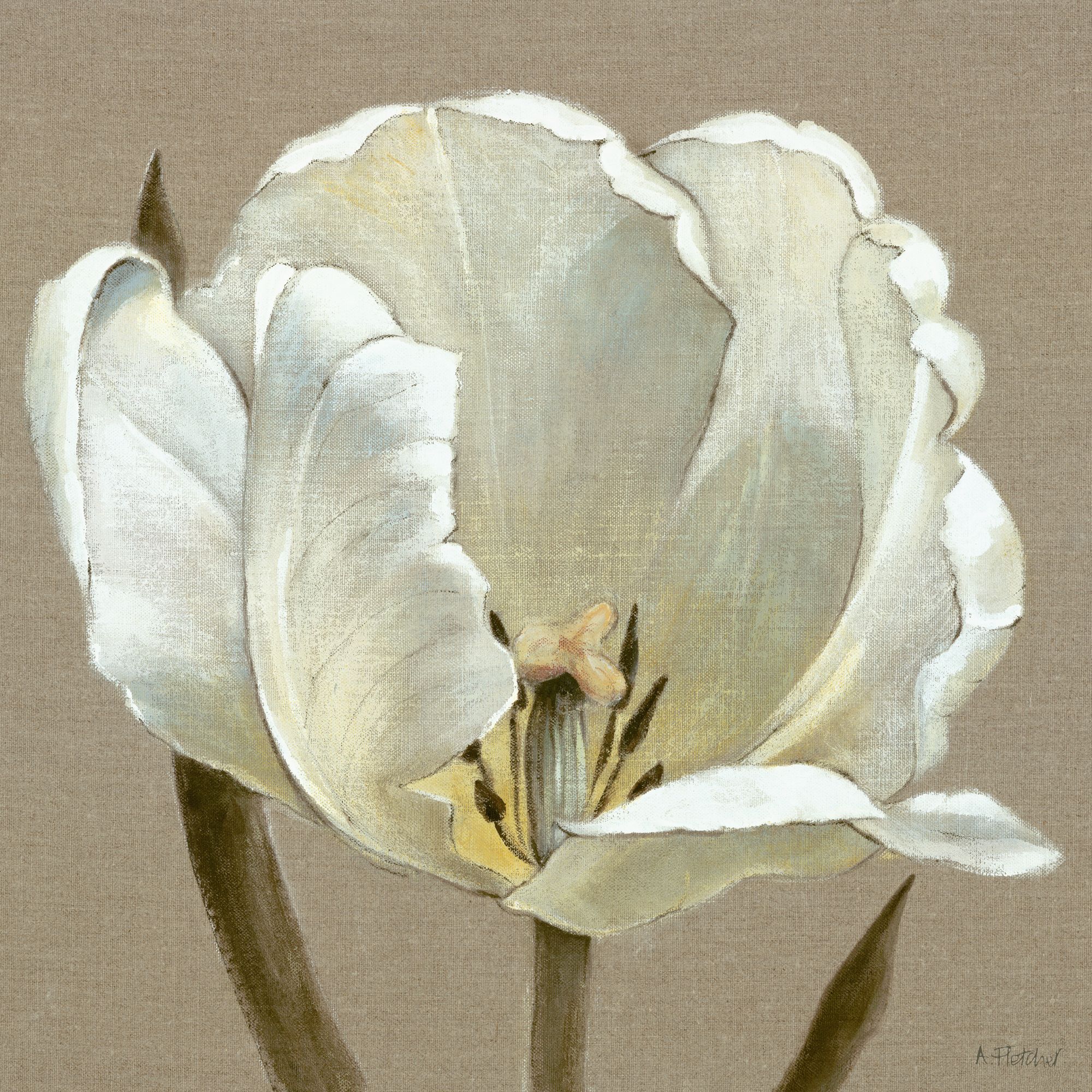 Linen Tulip Print 40x40cm