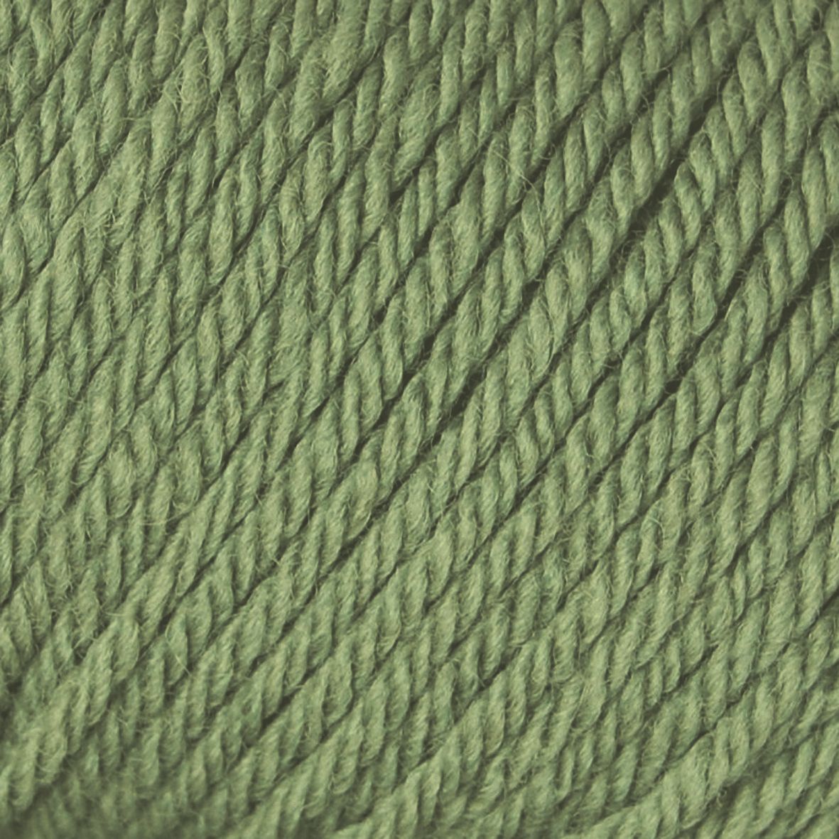 Rowan Yarns Baby Cashsoft DK, Sage, Shade 818
