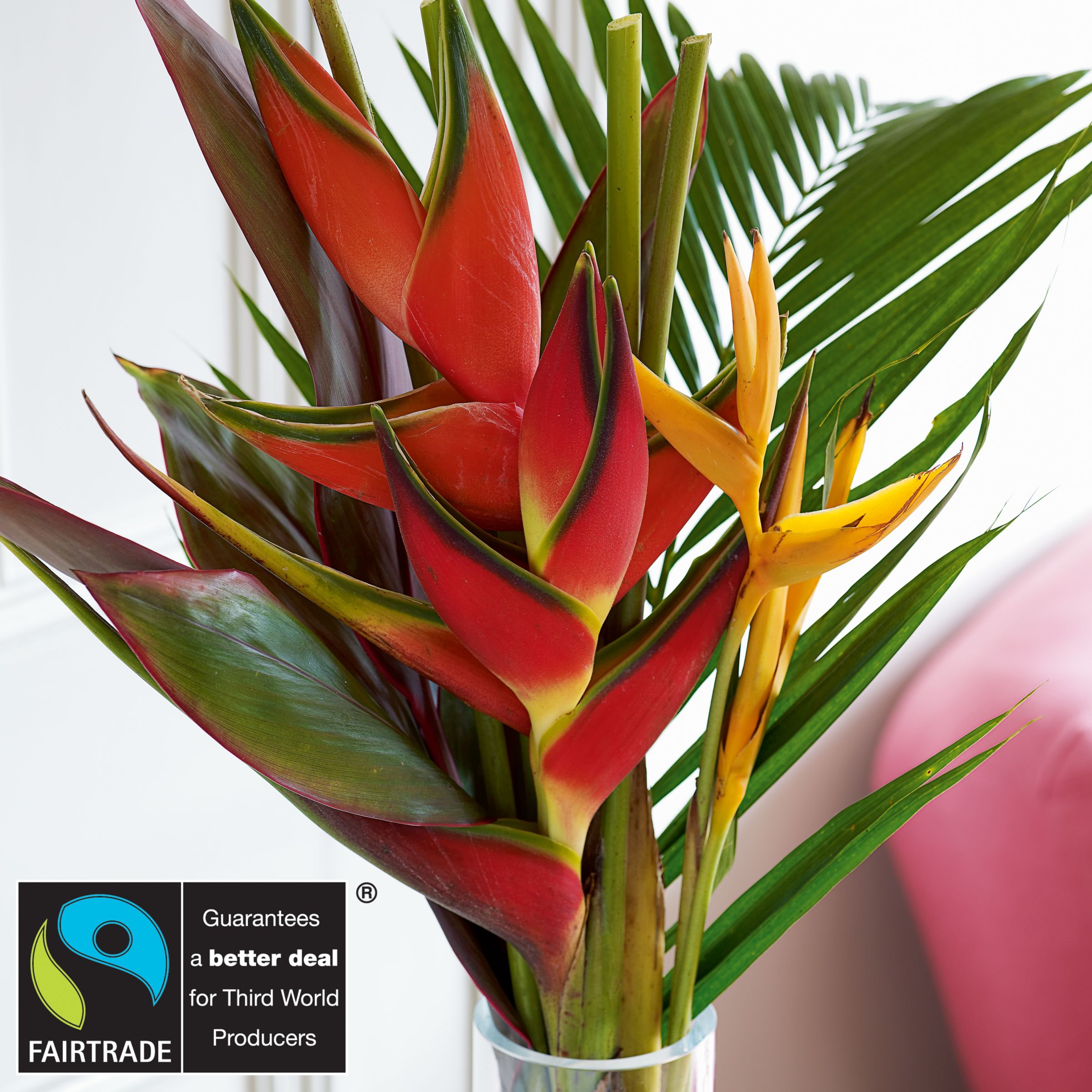 John Lewis Flowers Tropical Postal