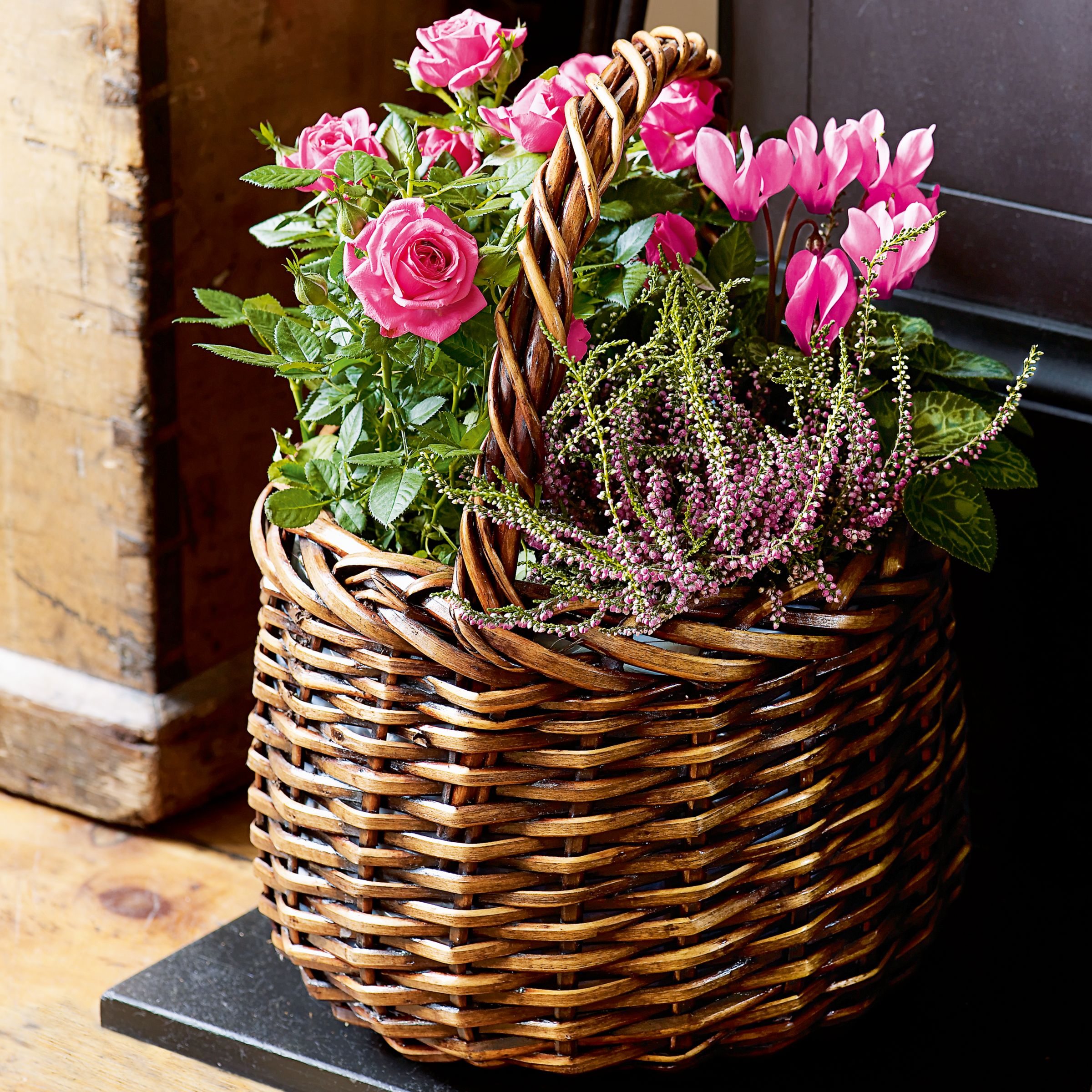 John Lewis Plants Pink Planter