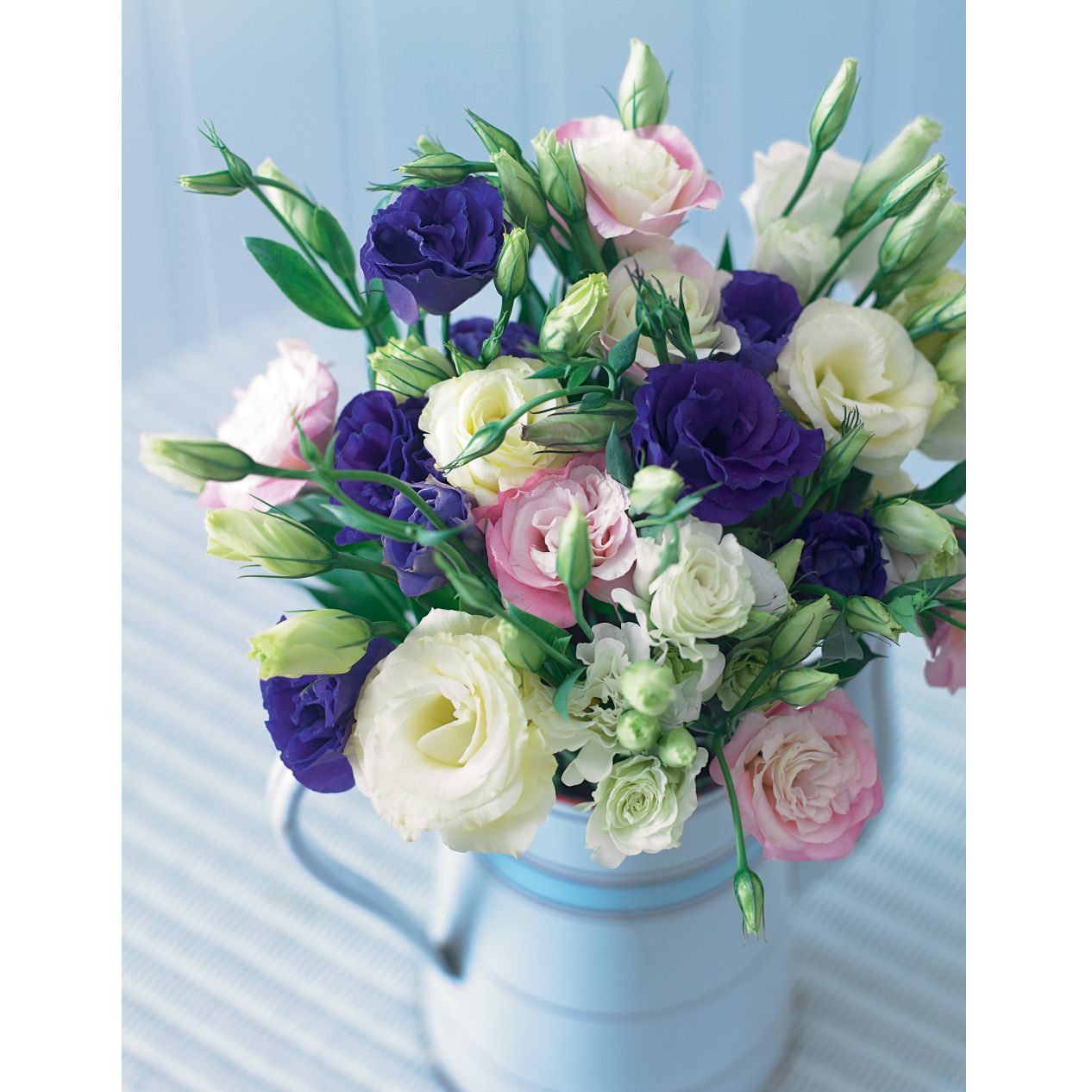 Lisianthus by Post