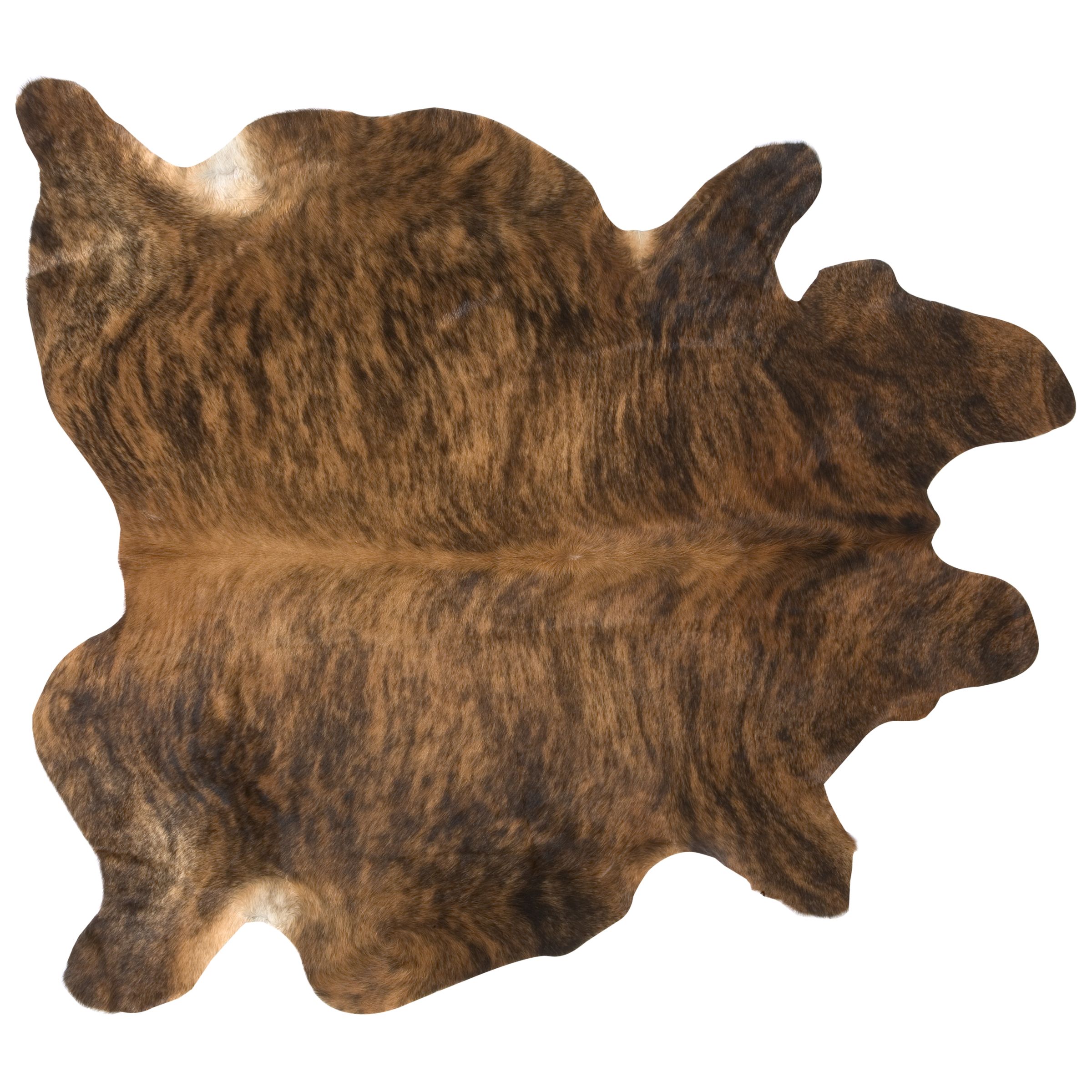 Cow Hide Rug Exotic Print