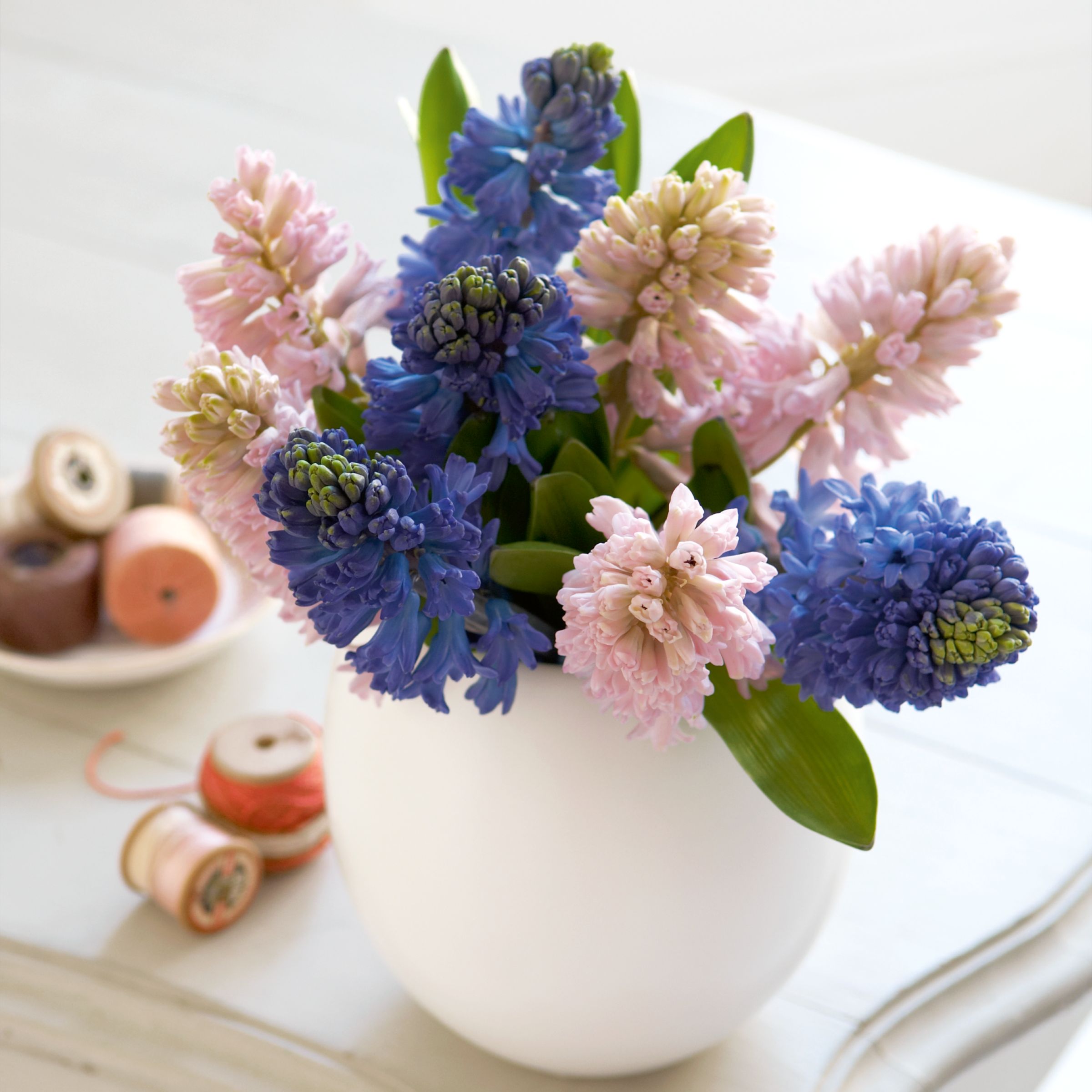 Hyacinth Ball