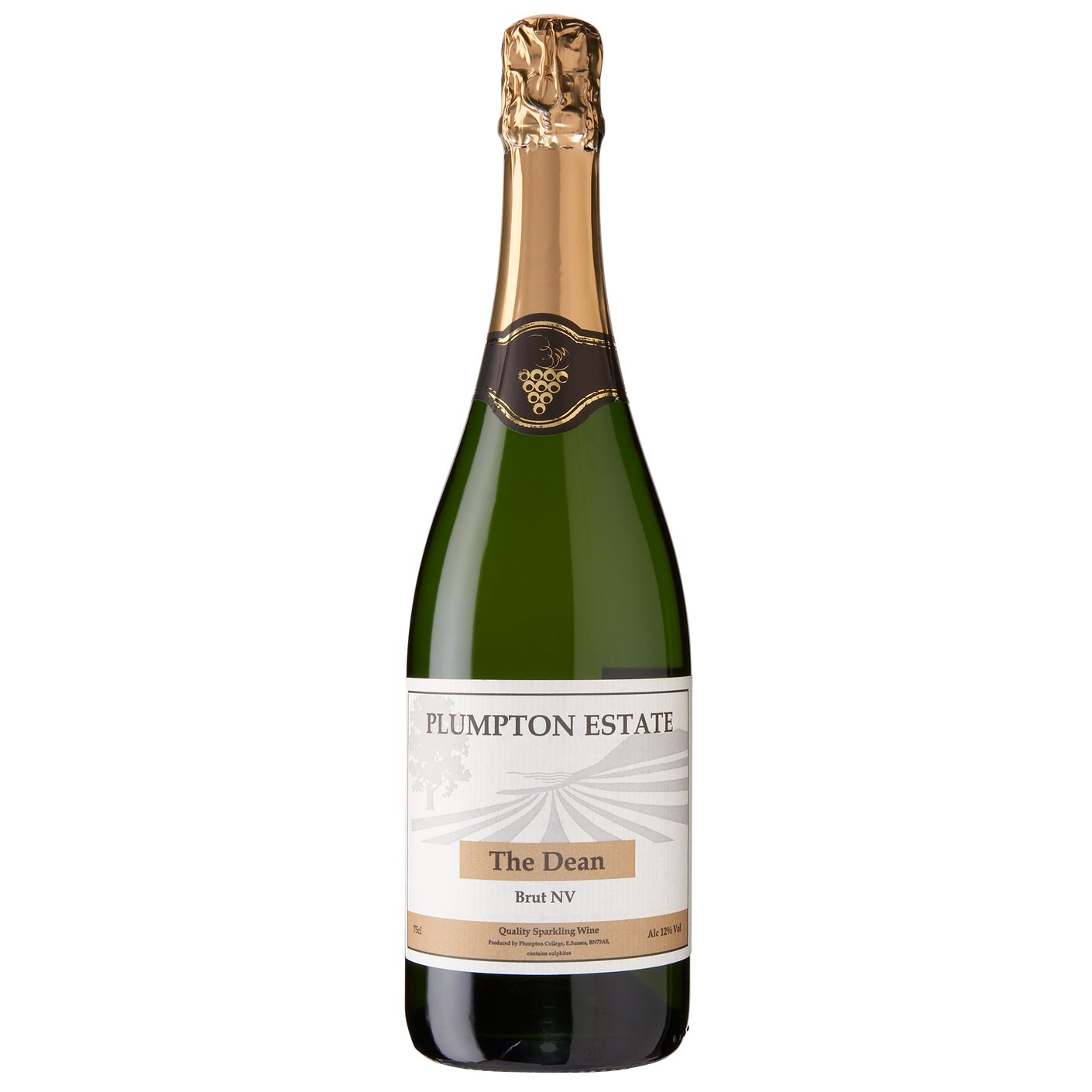 Plumpton Estate, 'The Dean’ Brut NV East Sussex, England, Sparkling Wine at John Lewis