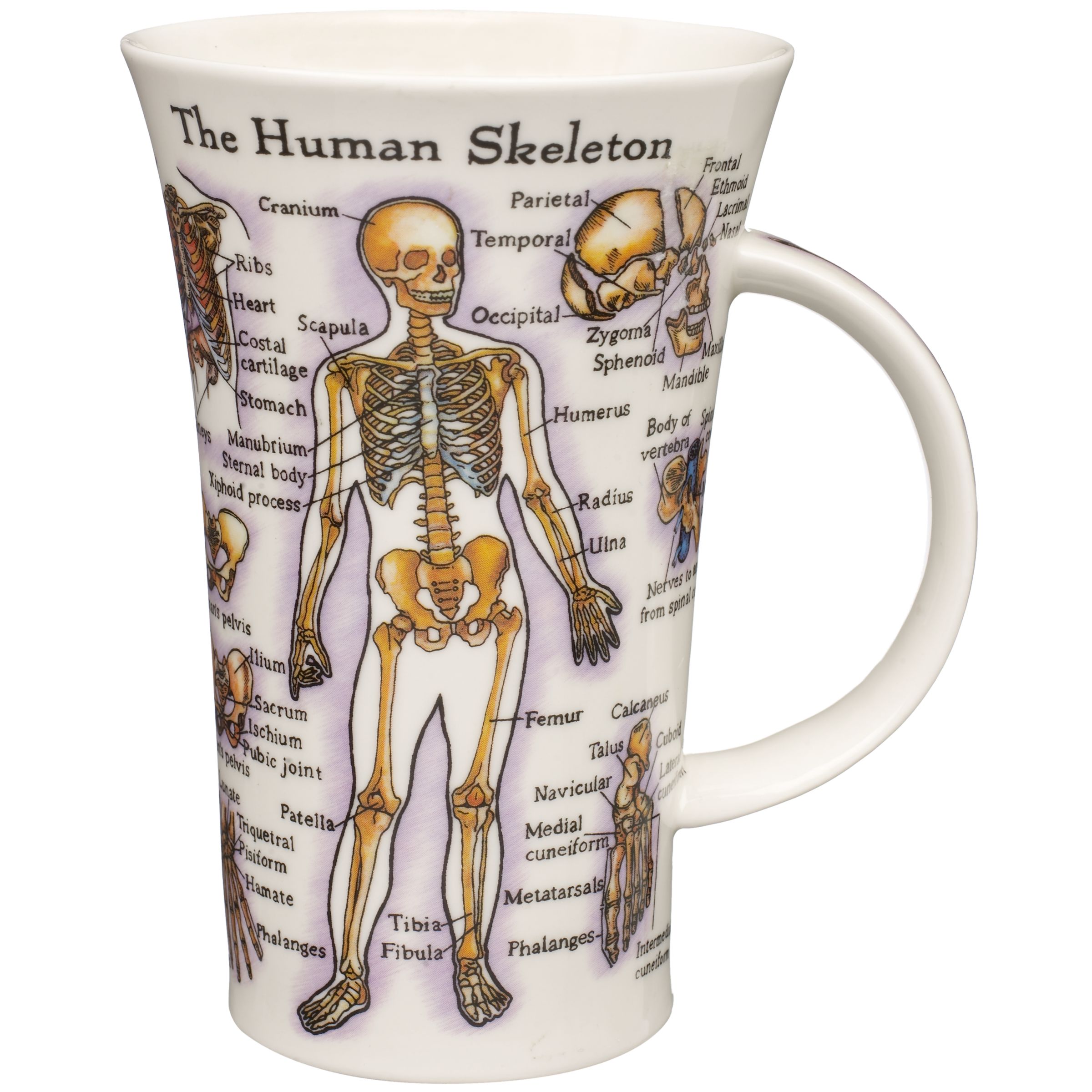 Human Body Mug