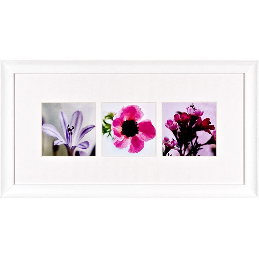 Ella Doran 39Flowers39 Photograph 31x60cm