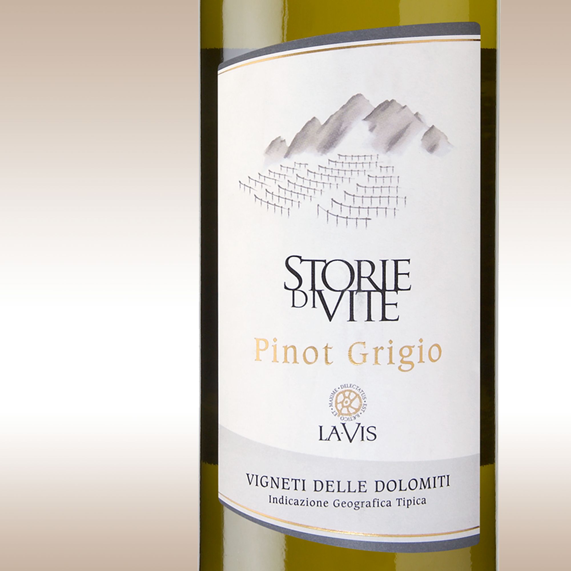 La Vis Storie di Vite Pinot Grigio 2008 Trentino, Italy