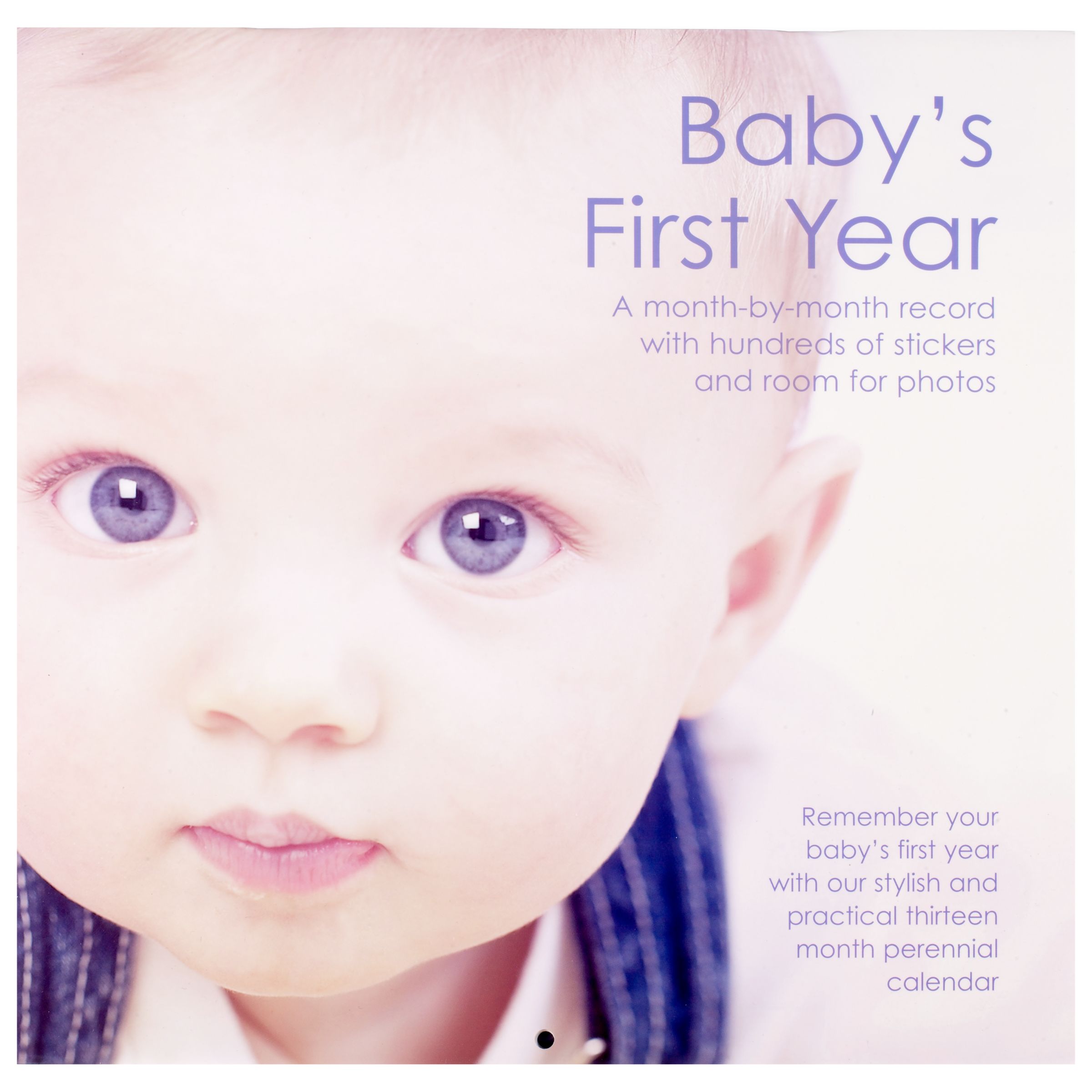 Baby's First Year Calender Baby's First Year Calender