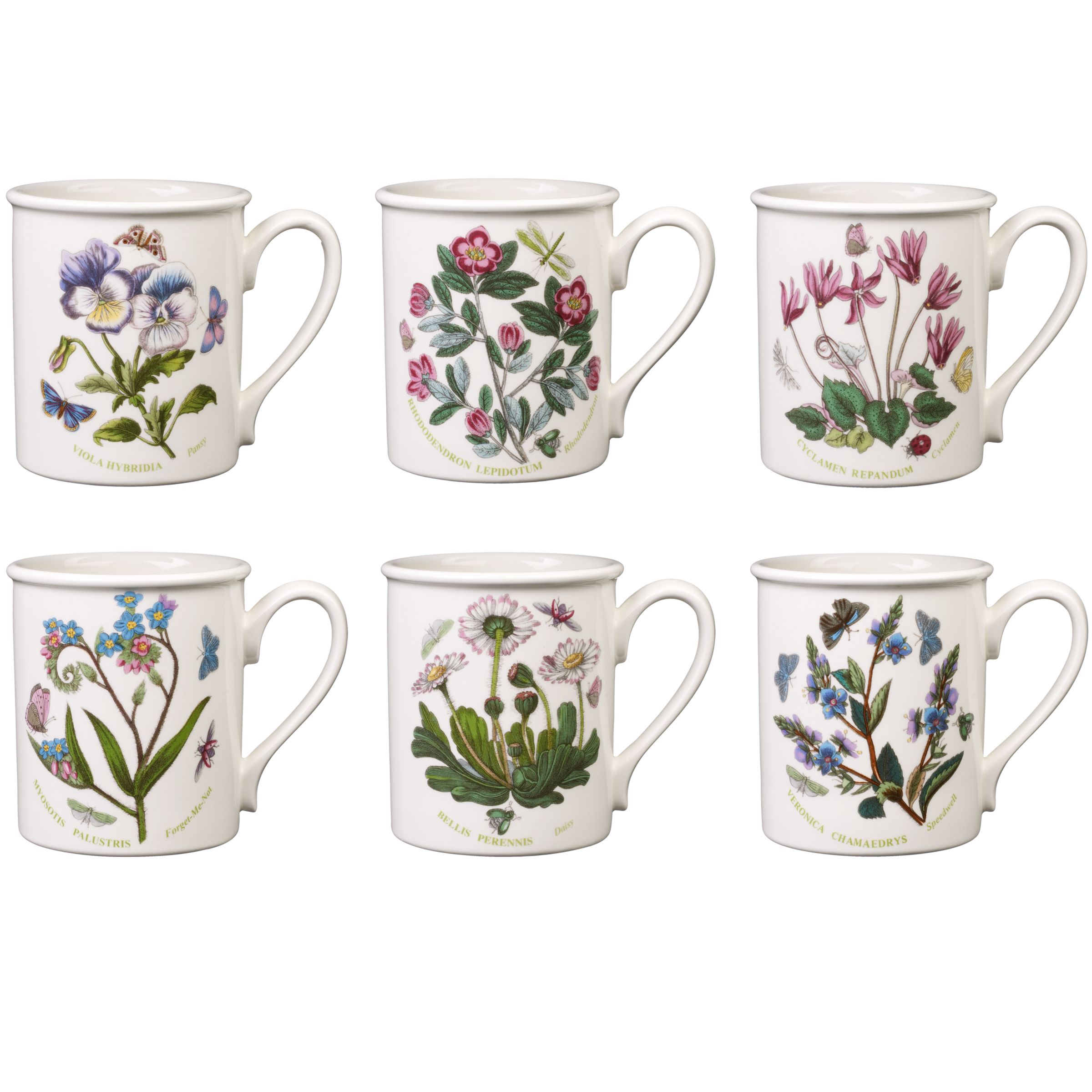 Portmeirion Botanic Garden Mugs, Box of 6